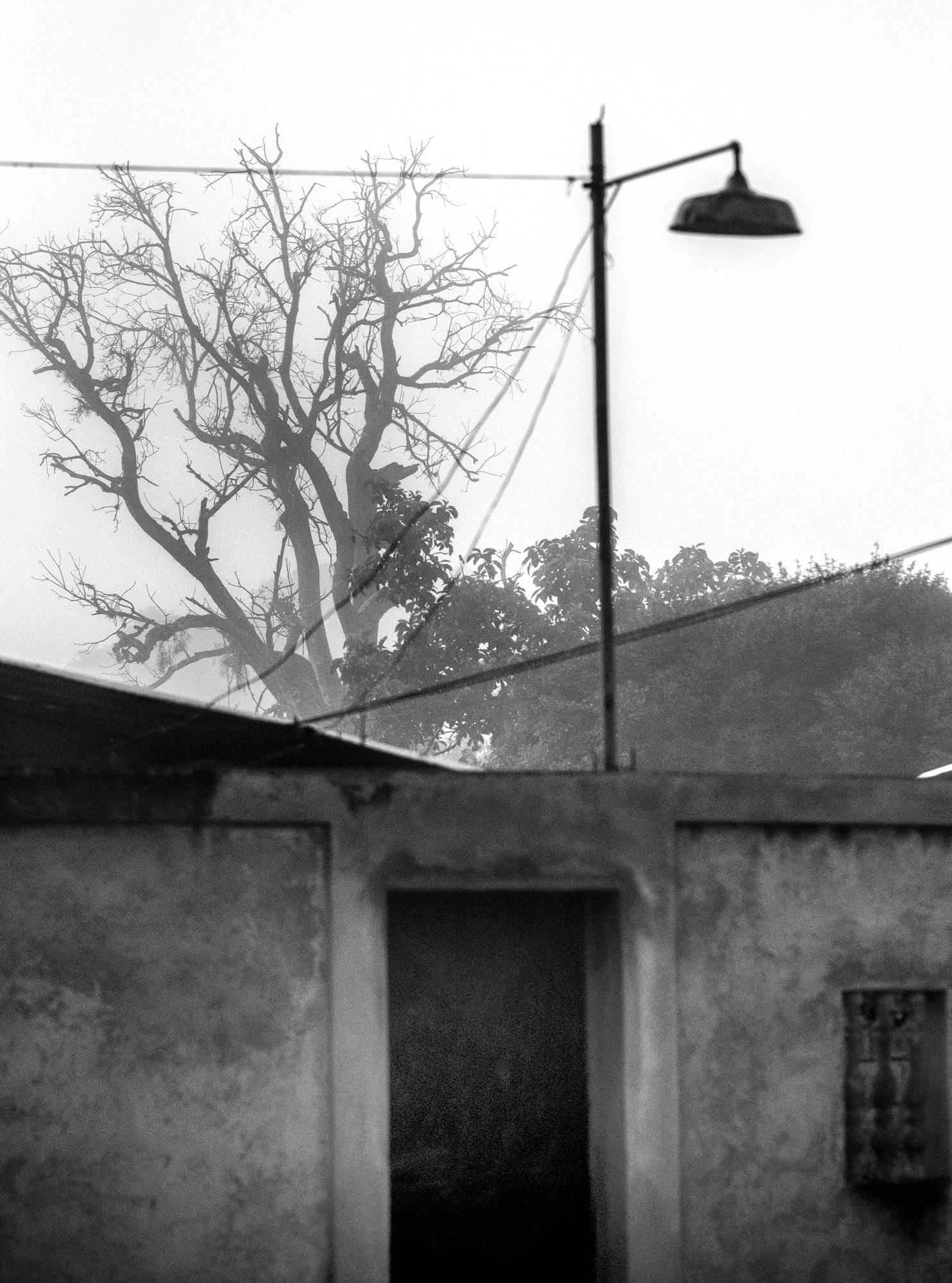 T09.jpg