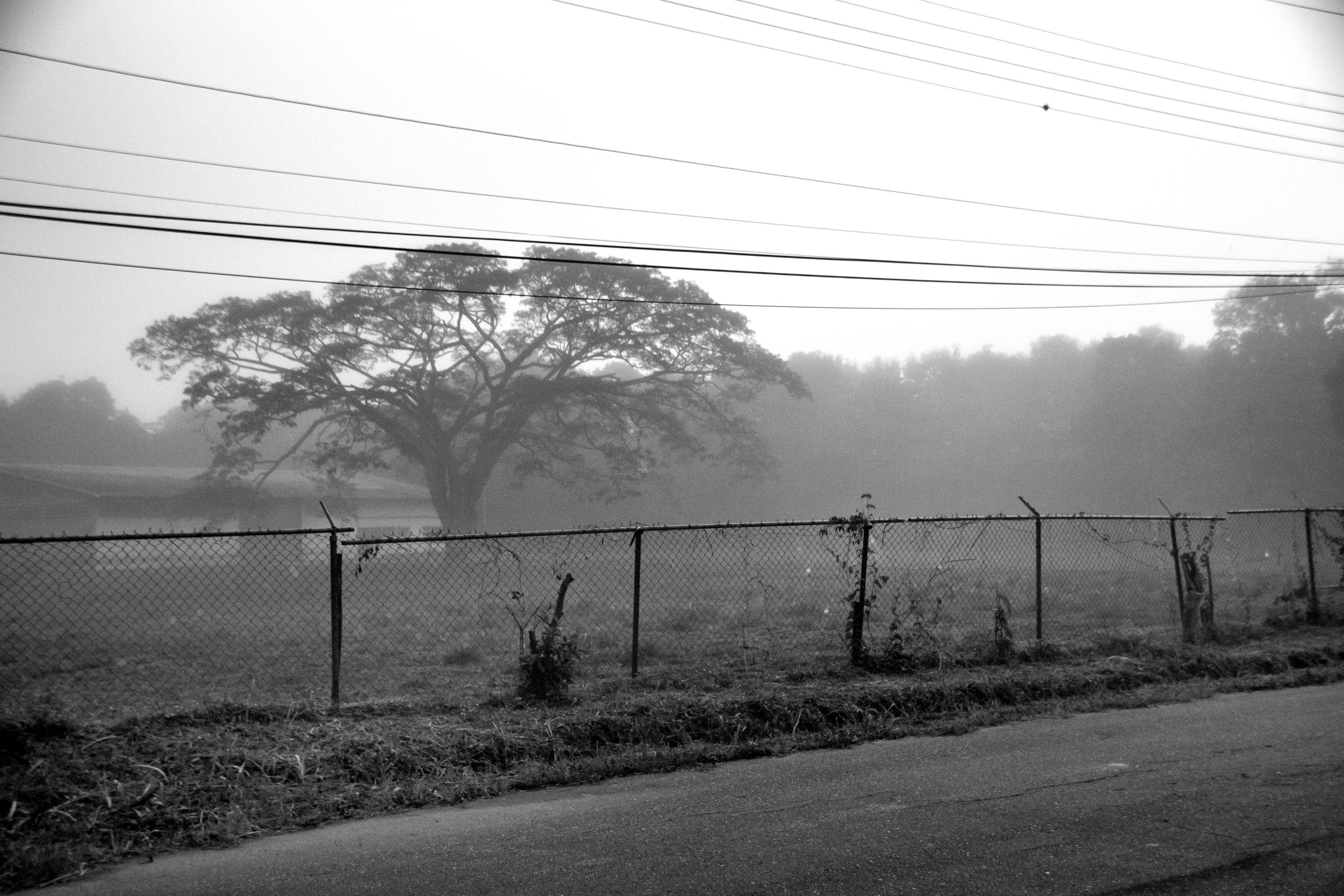 T09.jpg