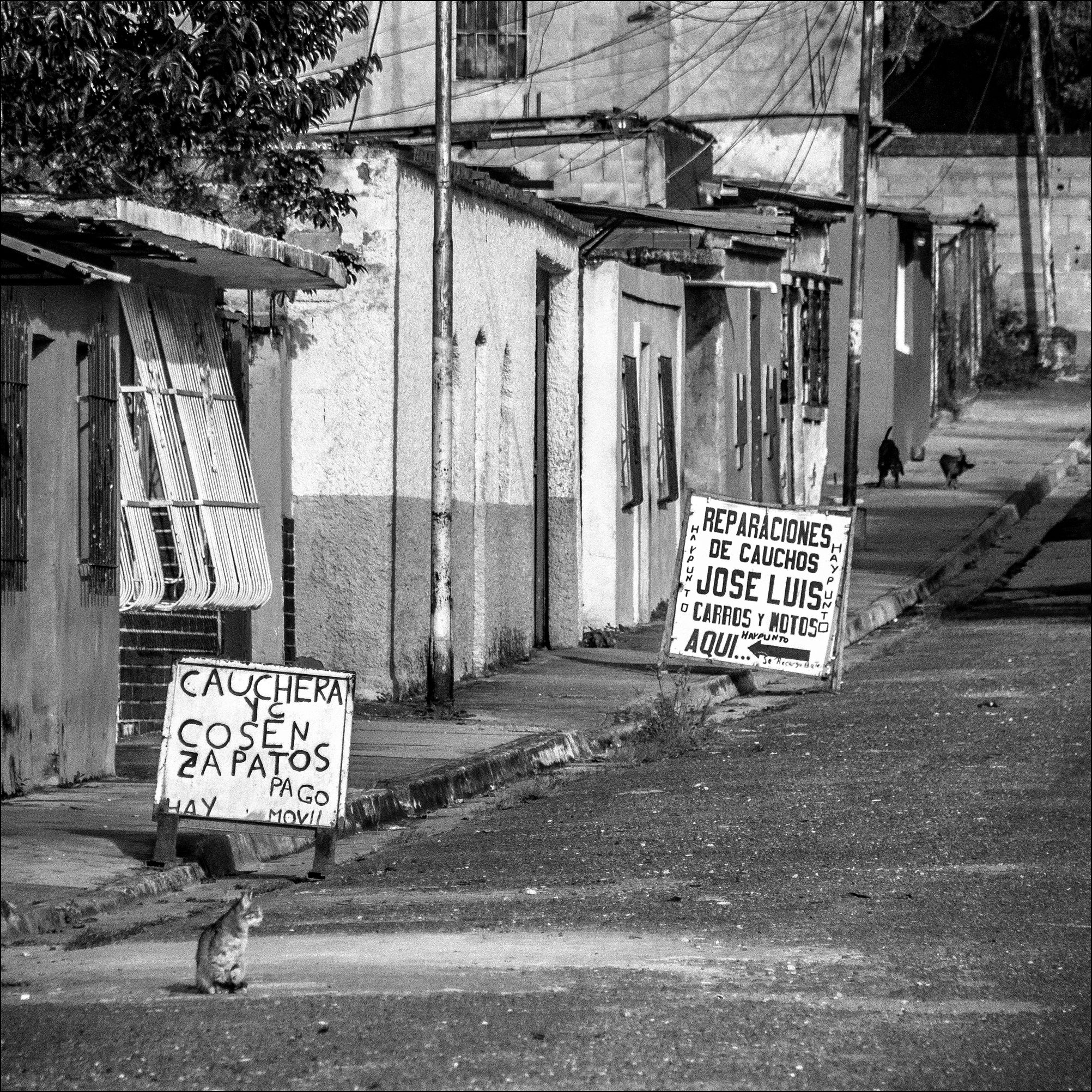 C01.jpg