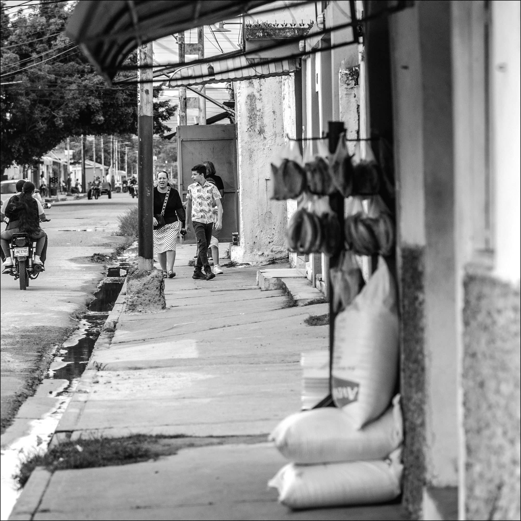 C03.jpg