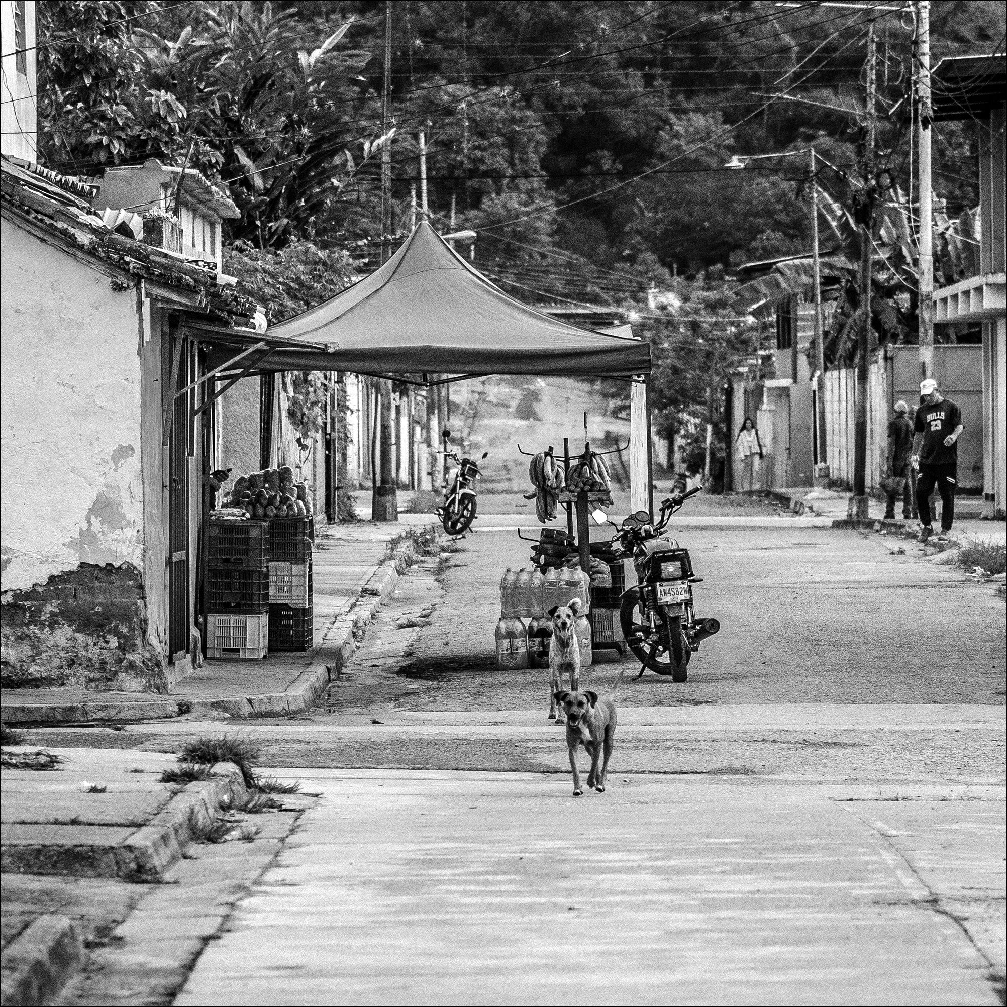 C09.jpg