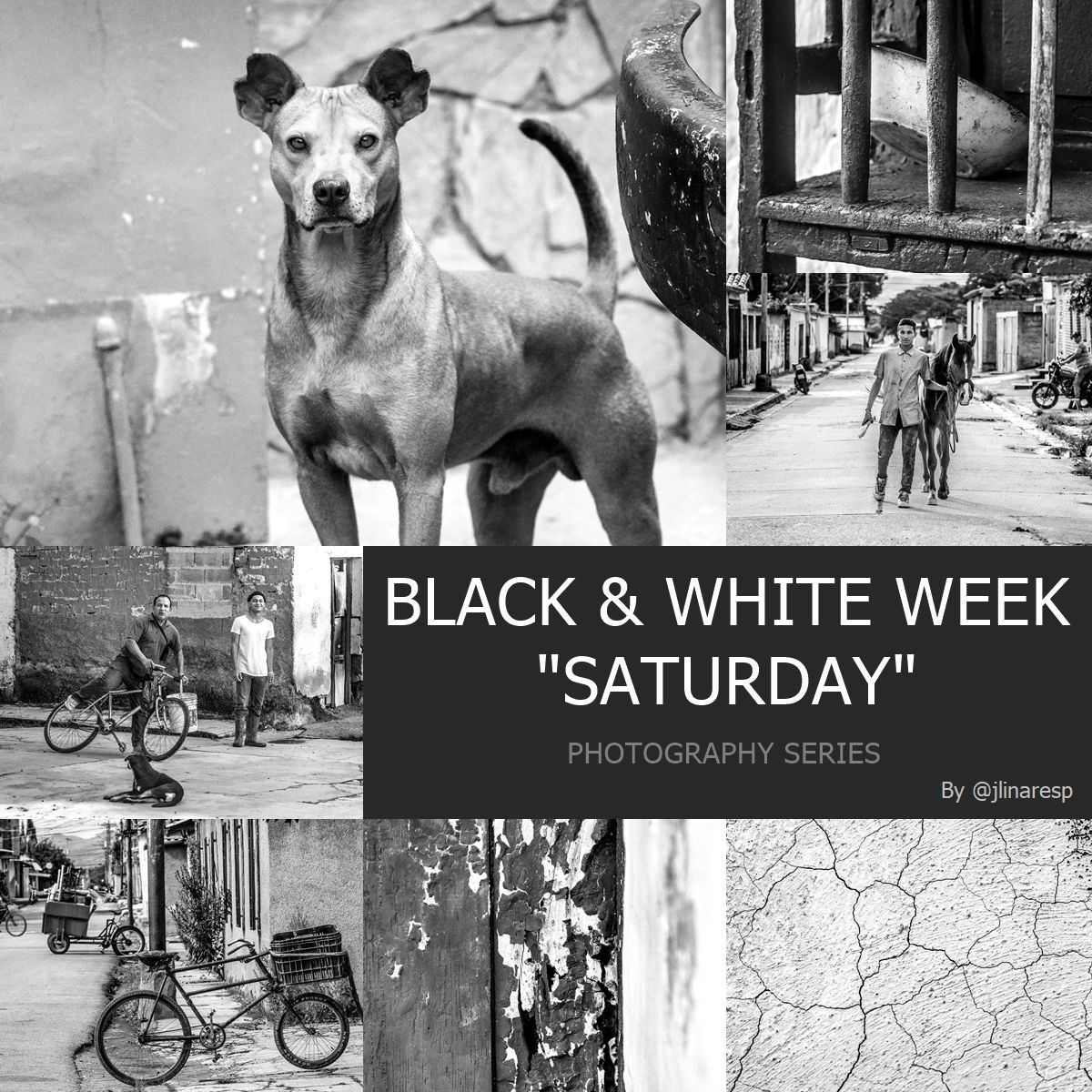Le…
Payout: 8.686 HBDBLACK & WHITE WEEK "SATURDAY" - PHOTOGRAPHY SERIES || ENG-ESP || (10 pics)
2025-08-16 16:06![Tcats.jpg