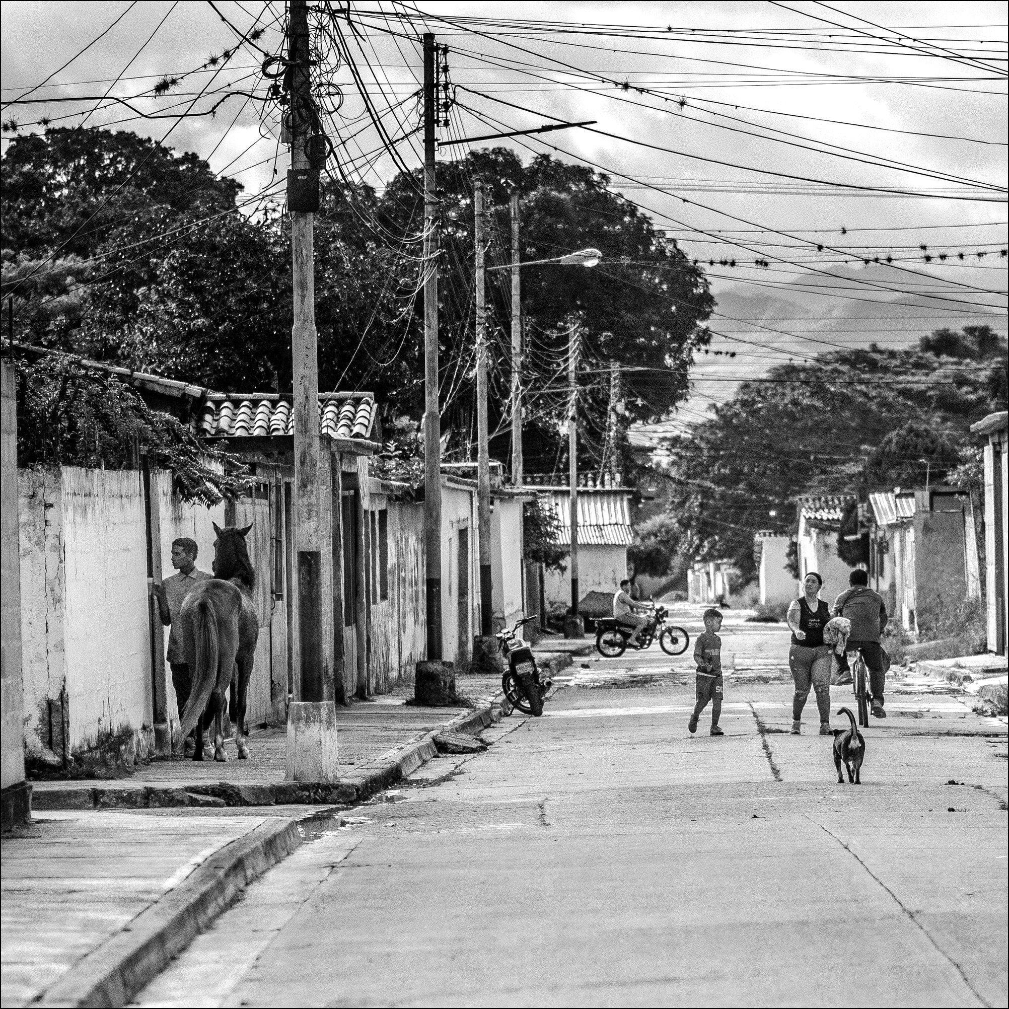 C05.jpg