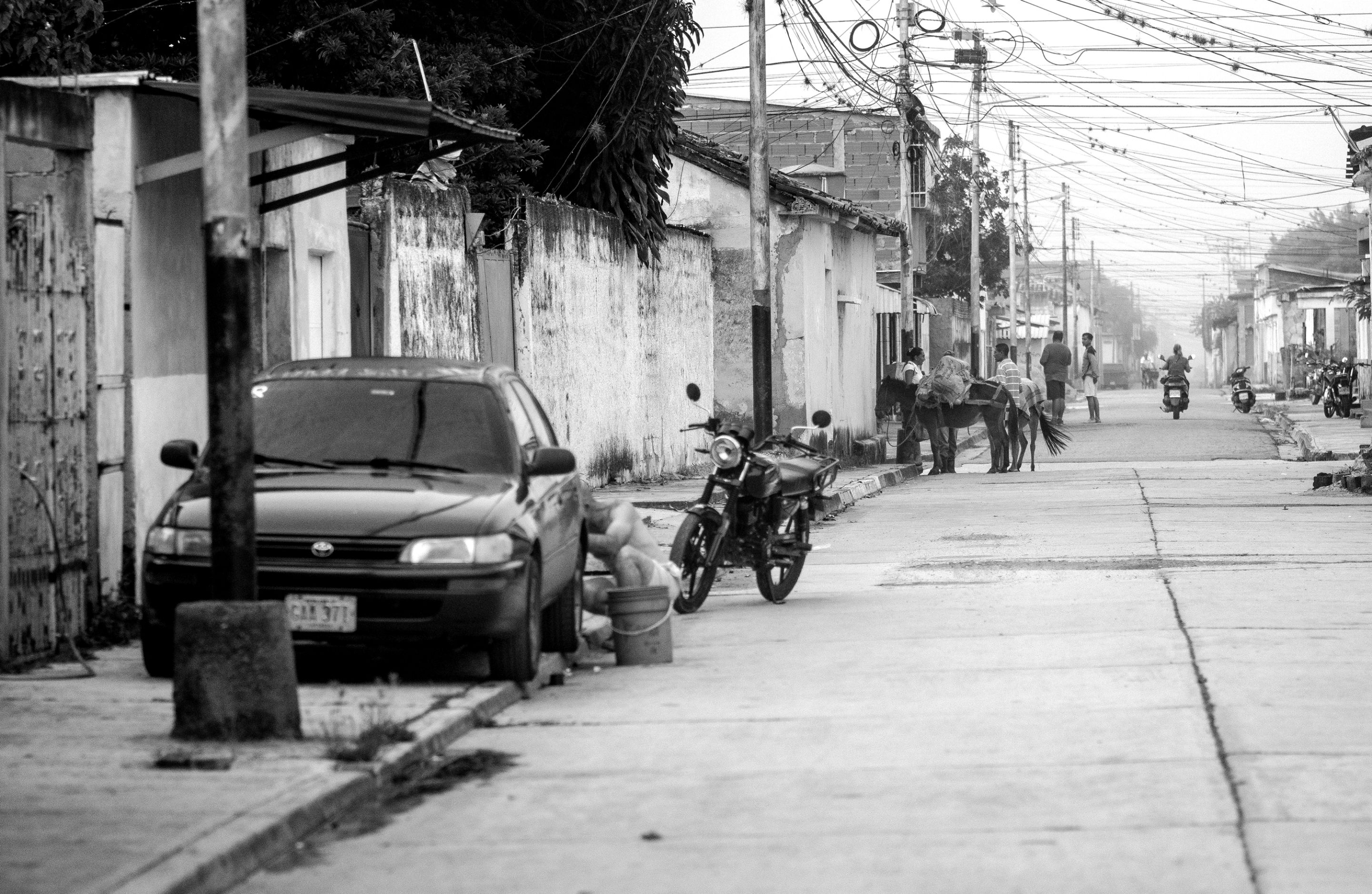 C03.jpg