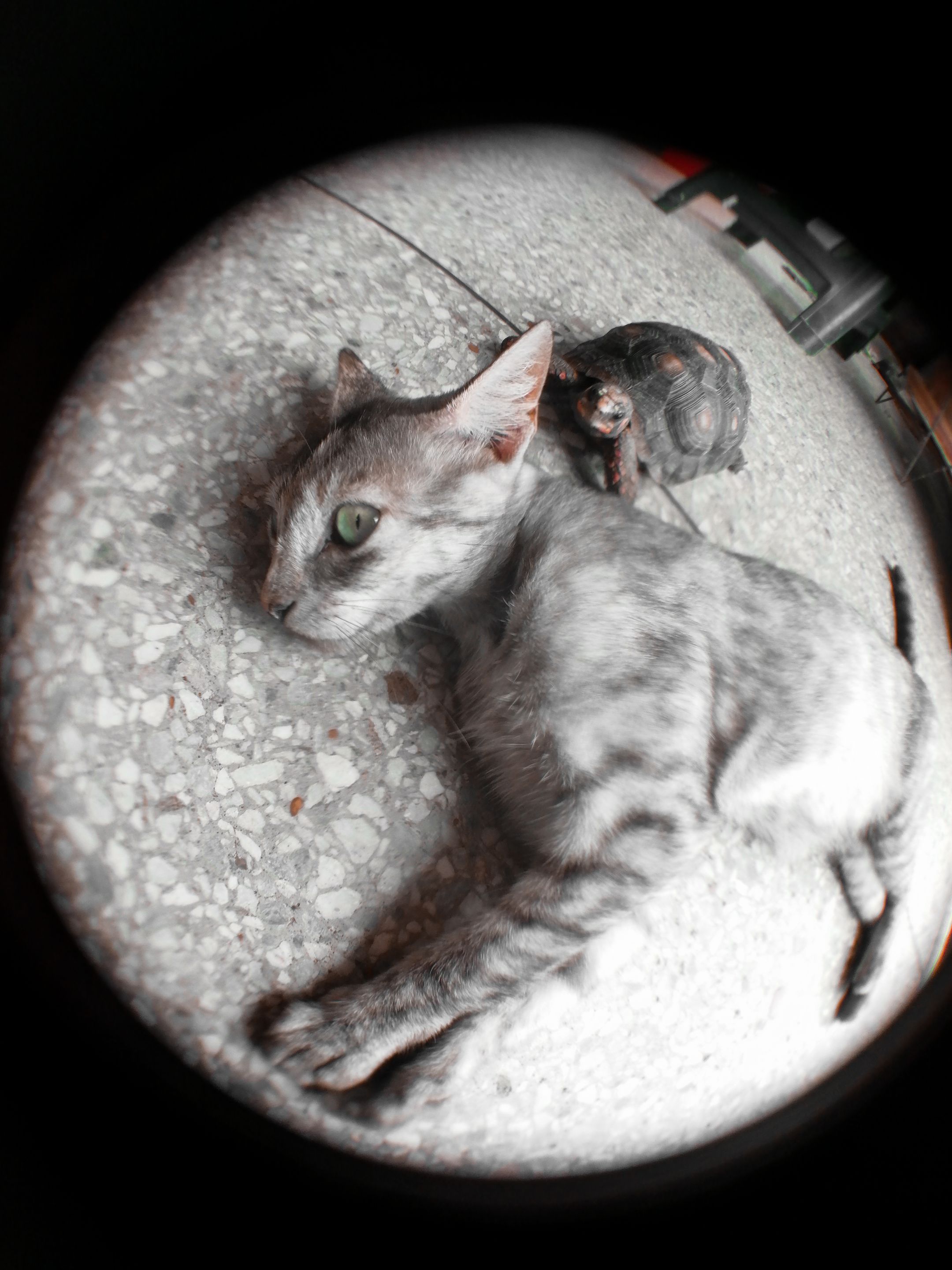 ' (8).jpg