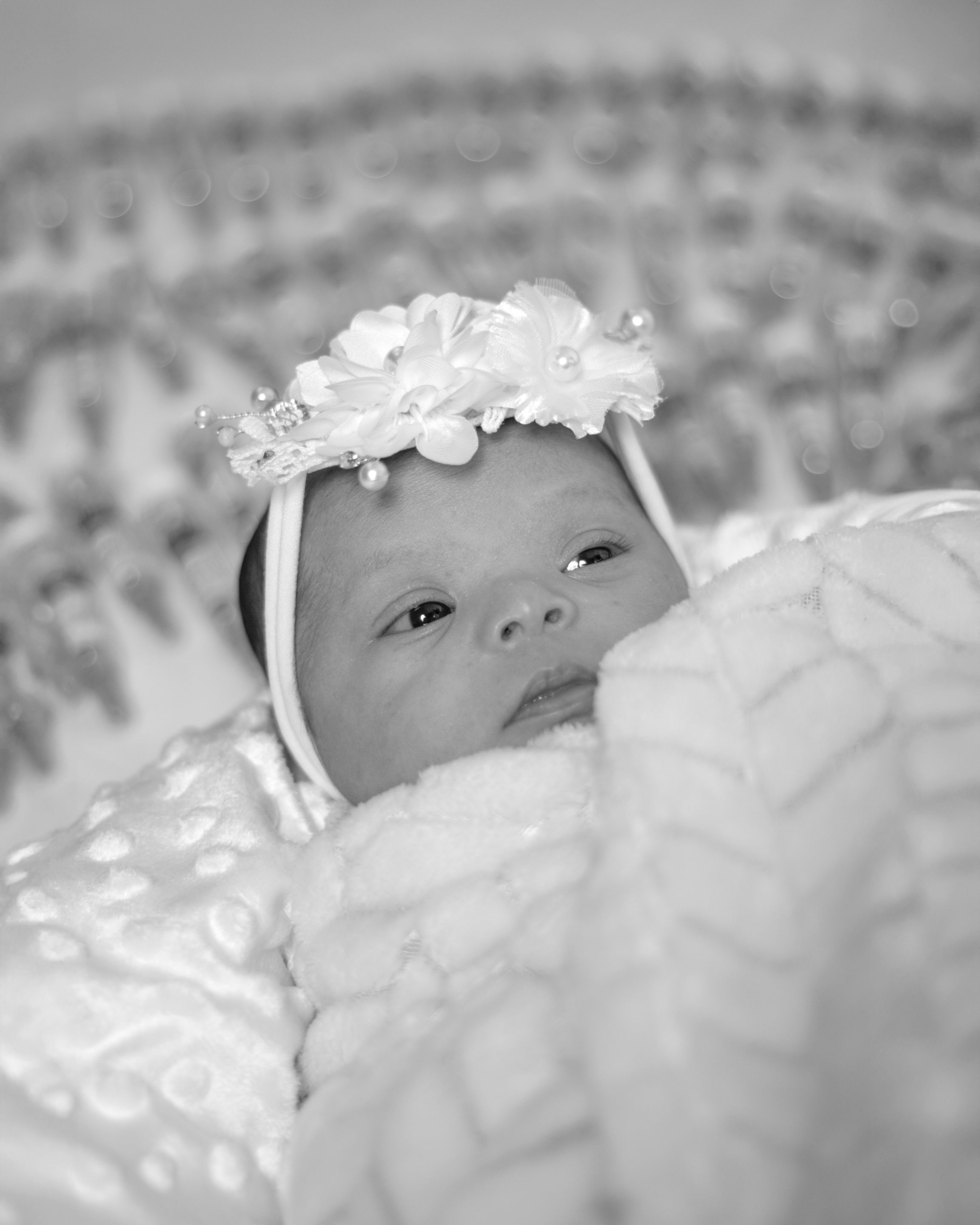 baby girl (4).jpg