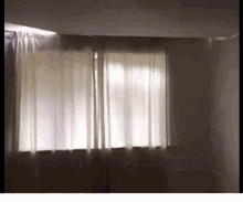 B89A15792B764B449B8A2CE34883BE9C.gif