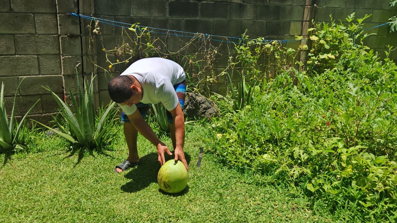 IMG_20250813_122326.jpg