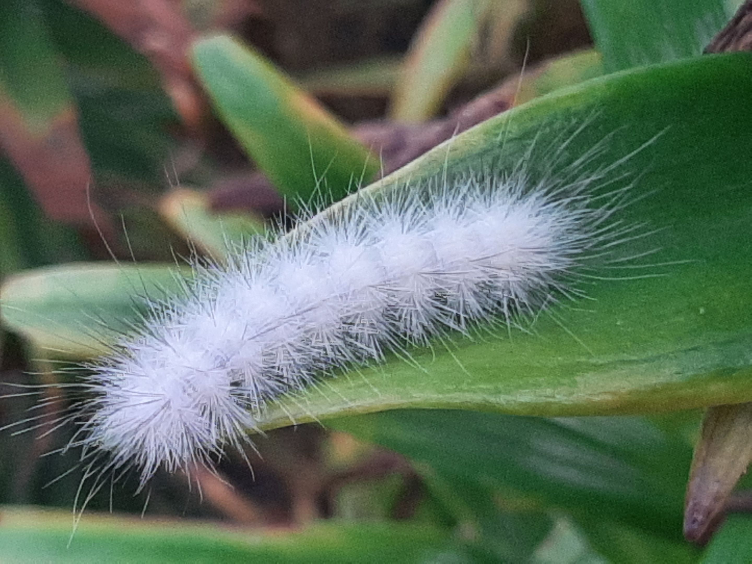 20220827_194817.jpg