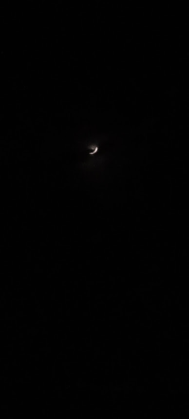cameringo_20220702_203142.jpg