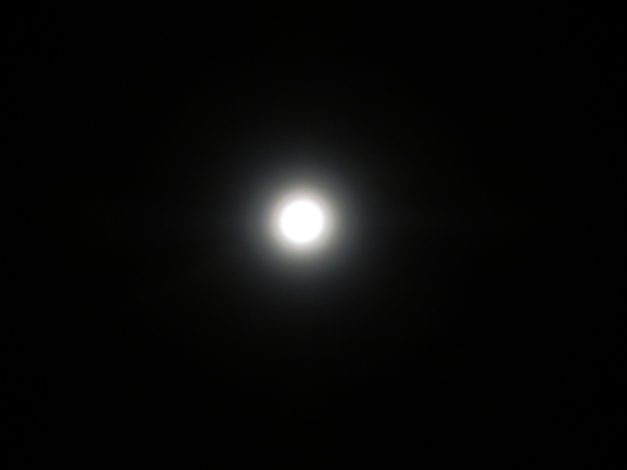 IMG_0084.JPG