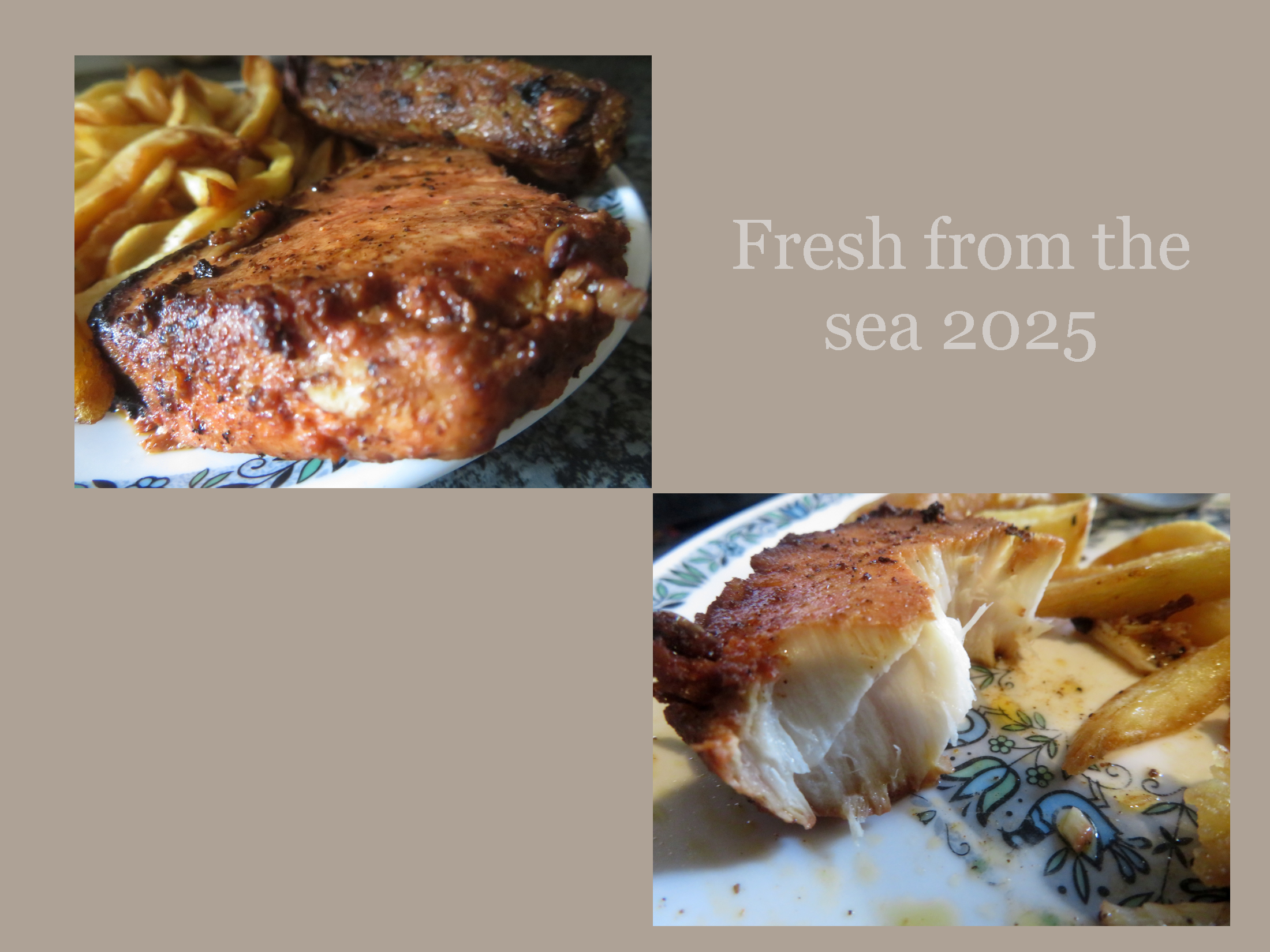 SeaFresh2025.png