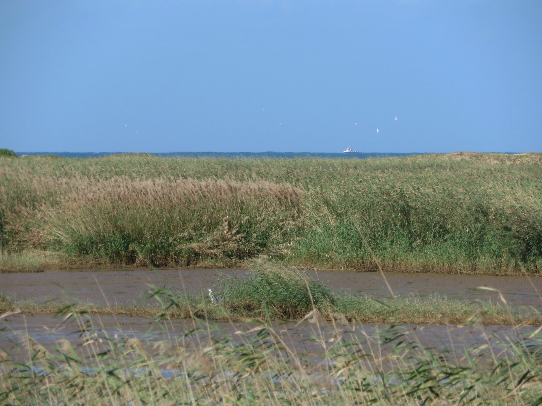 IMG_8202.JPG