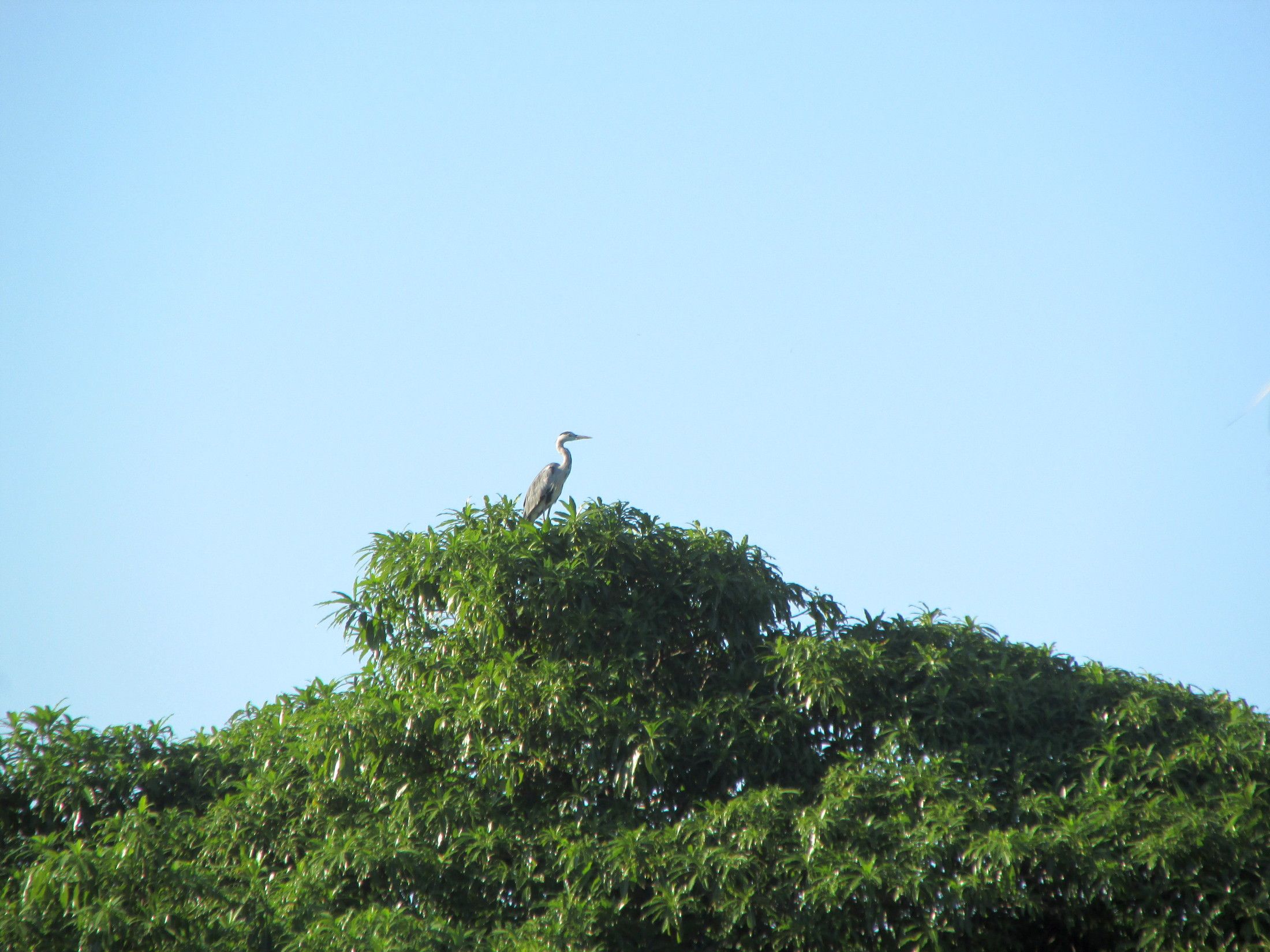 IMG_2254.JPG
