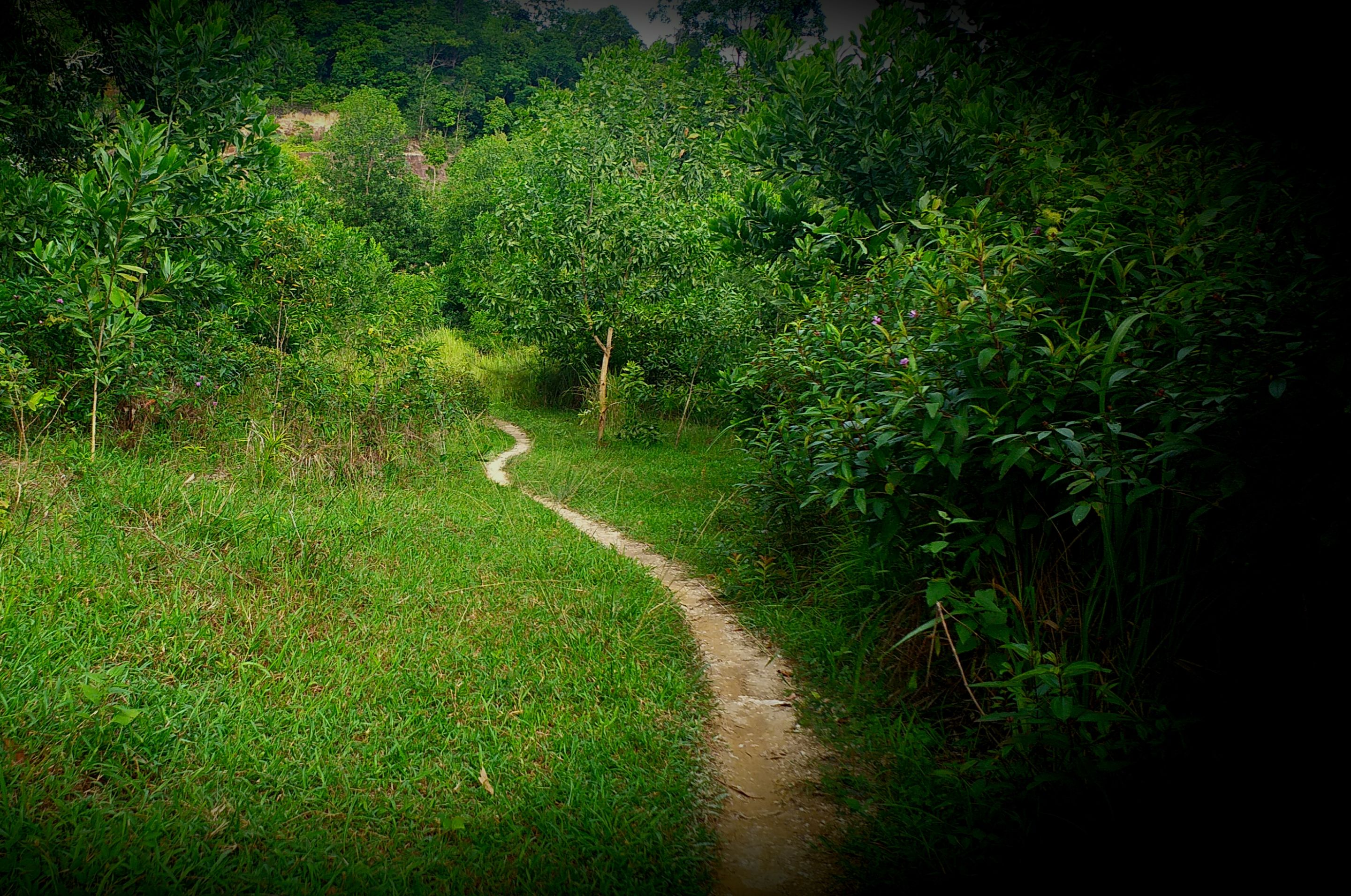 20200715_170707.jpg