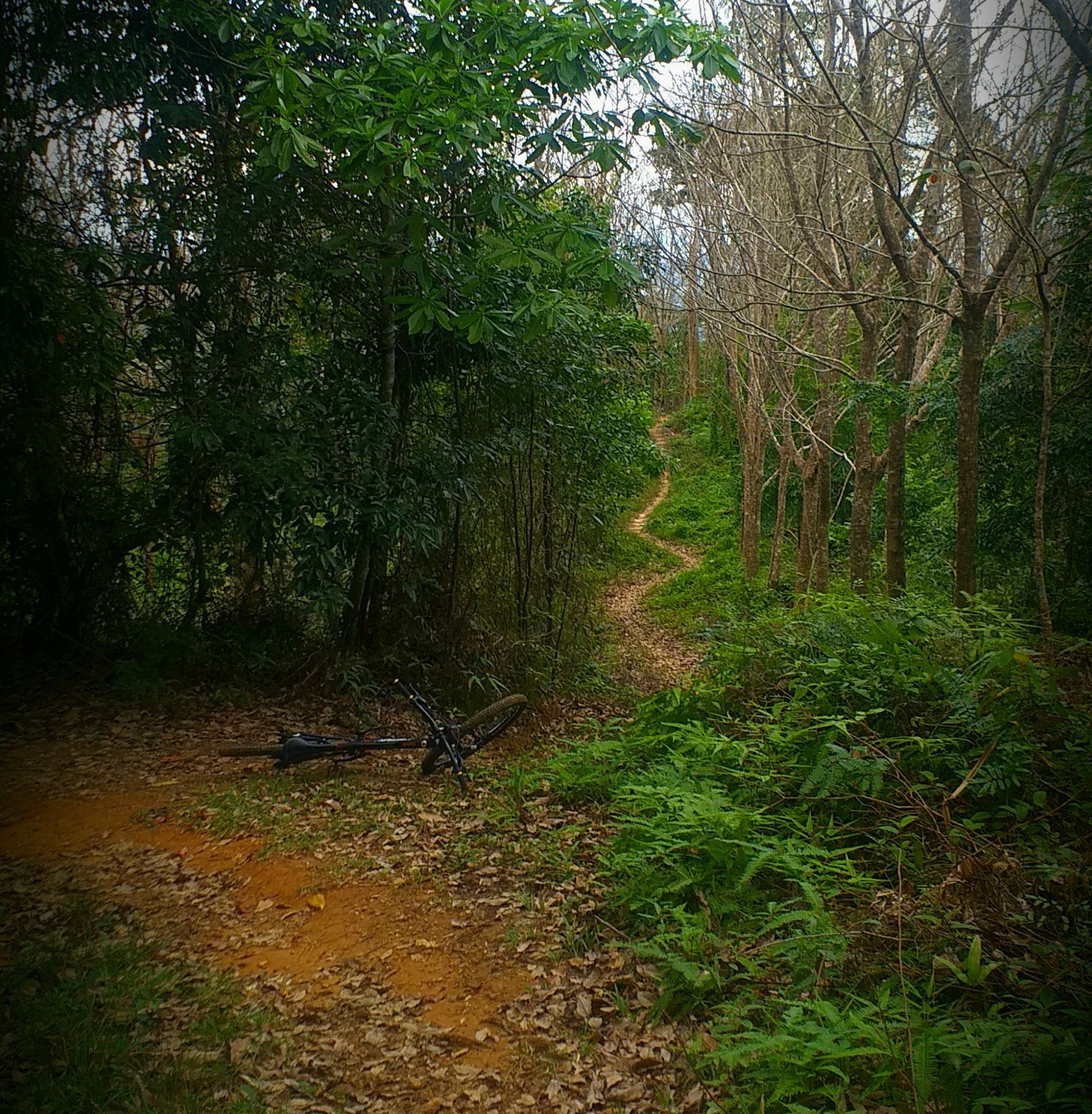 20201026_180202.jpg