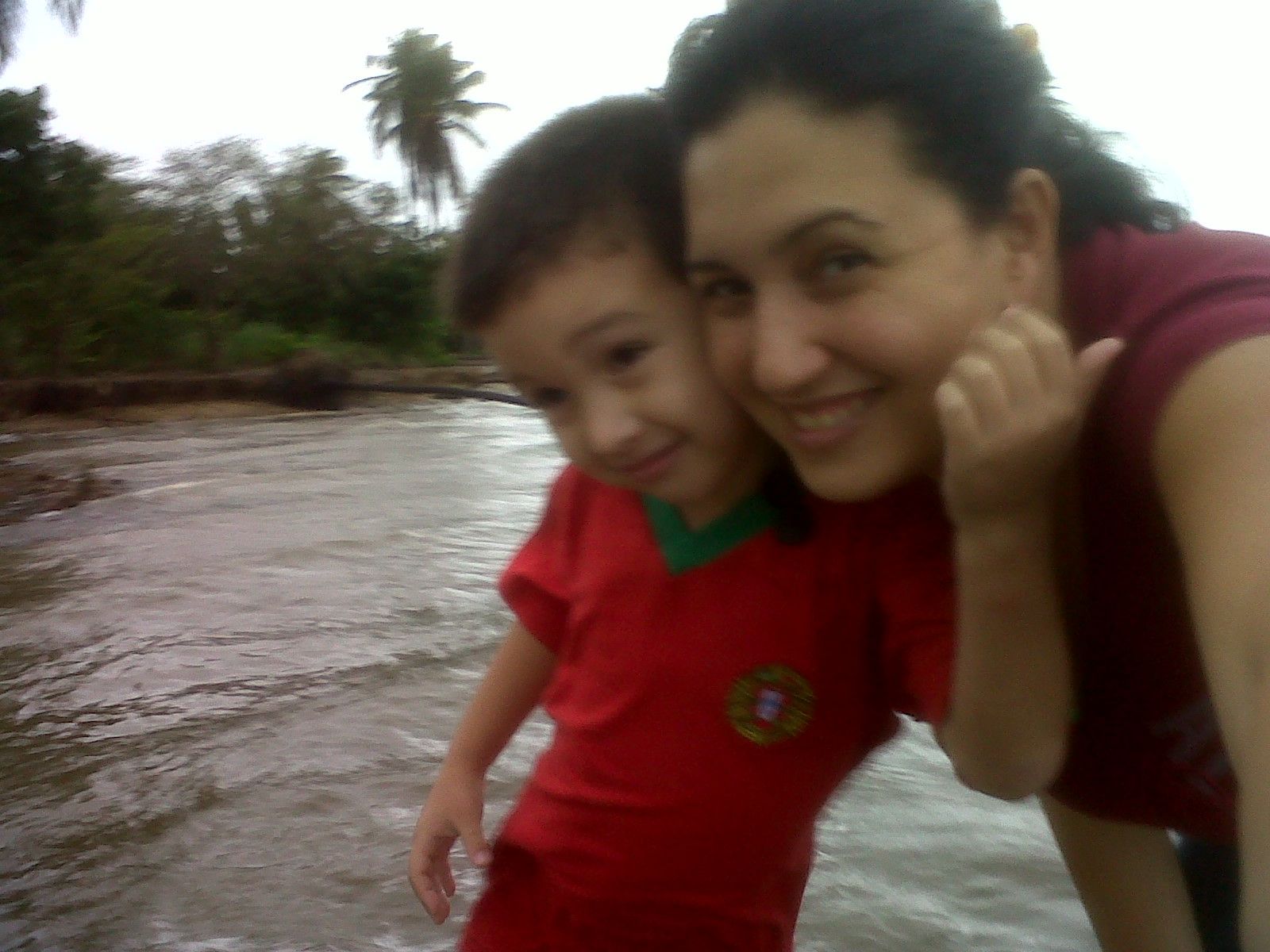 IMG01210-20111222-1654.jpg