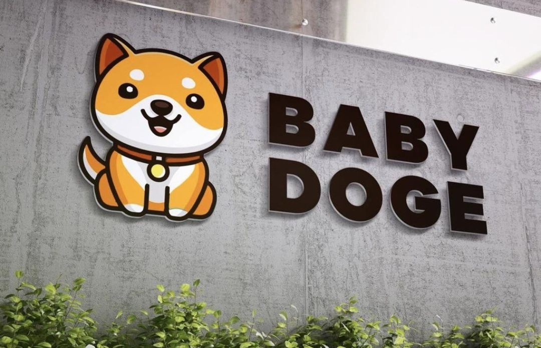 Baby-Dogecoin-Price-Chart-Prediction.jpg