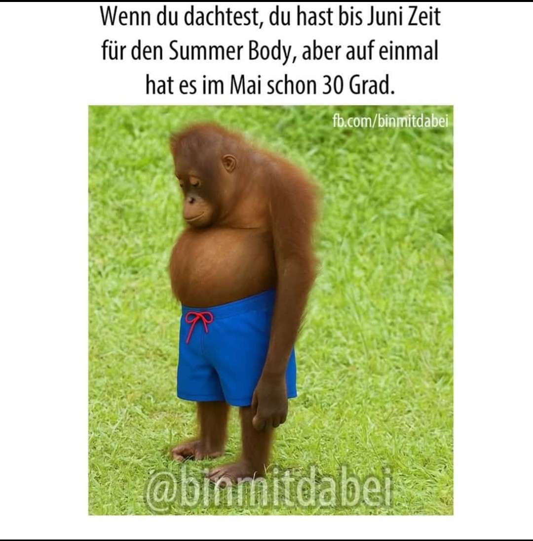 1747408574382.jpg