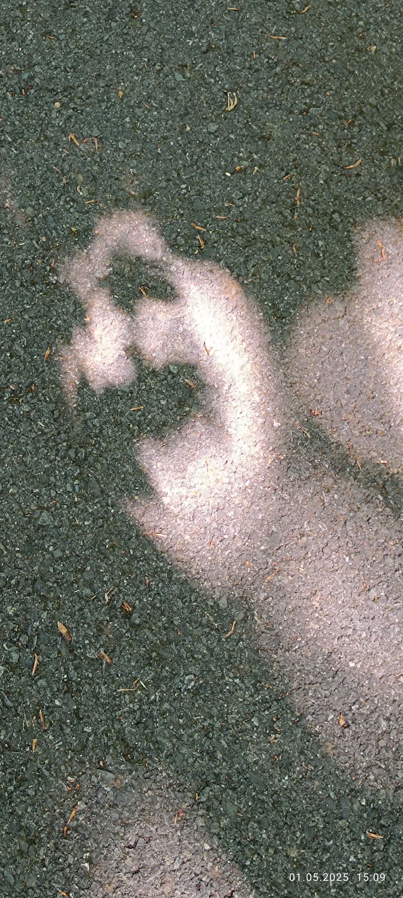 1746386849537.jpg