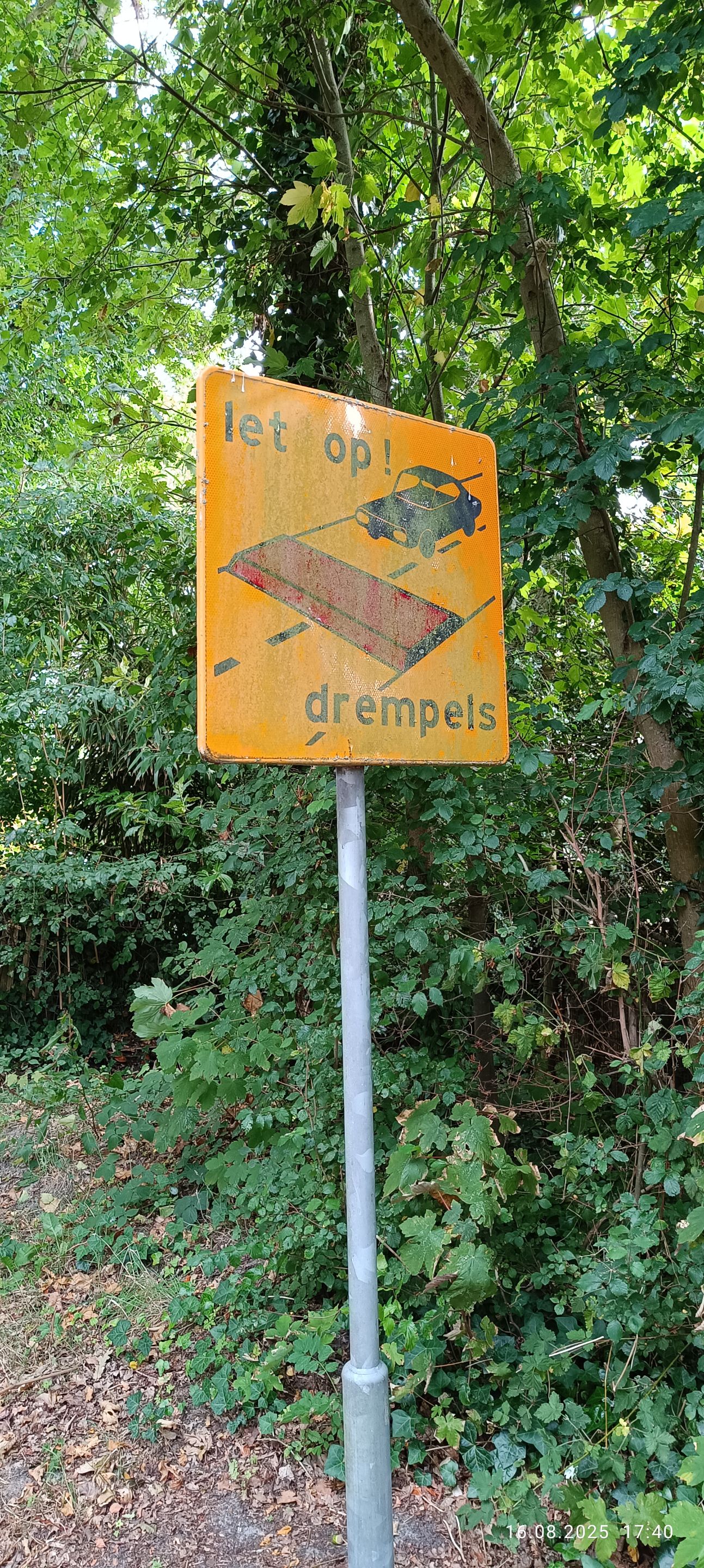 1757093218402.jpg