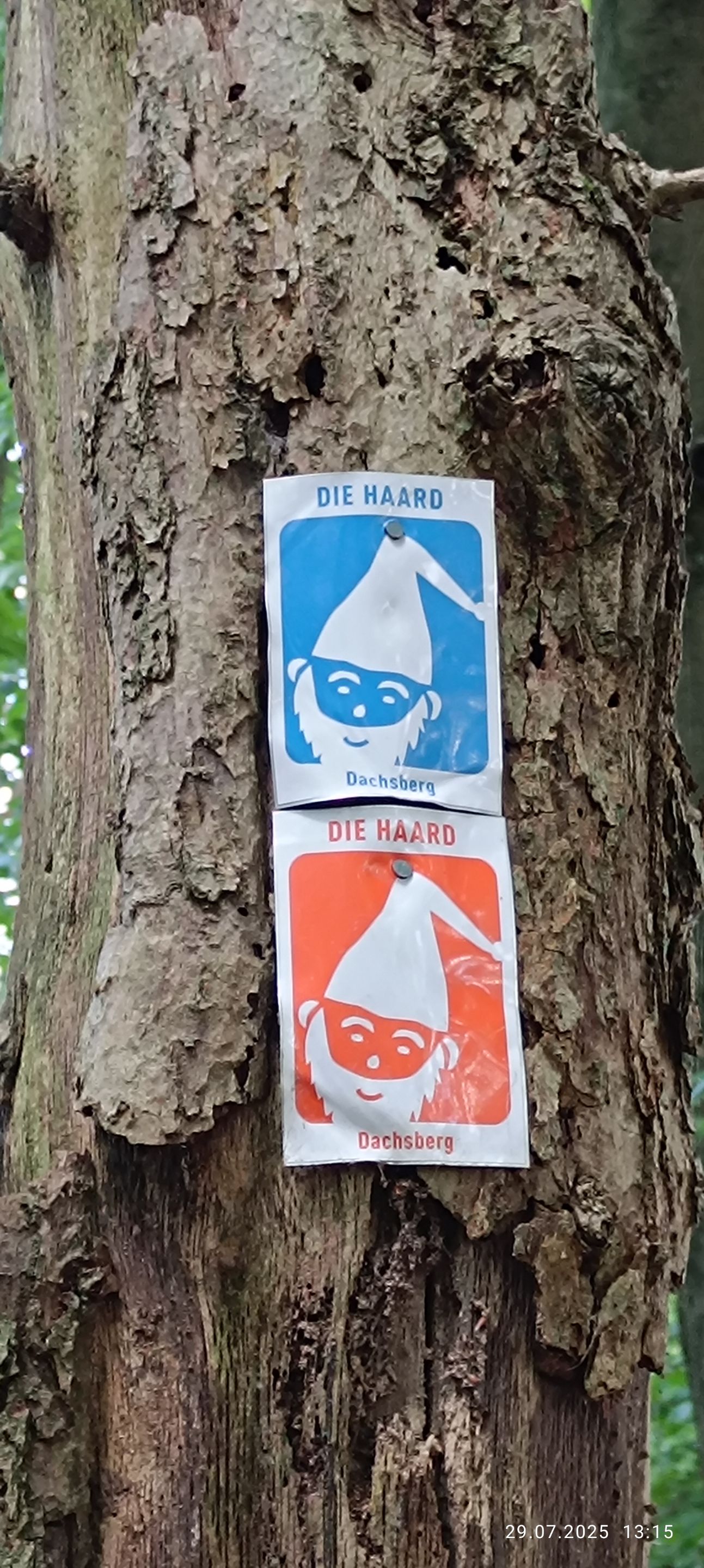 1753971426463.jpg