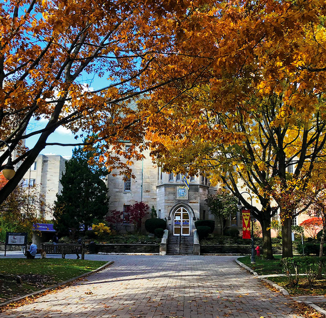 Fall Day 2.png
