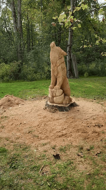 20240927_151517 (1).gif