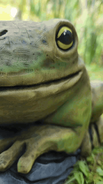20240825_124430.gif