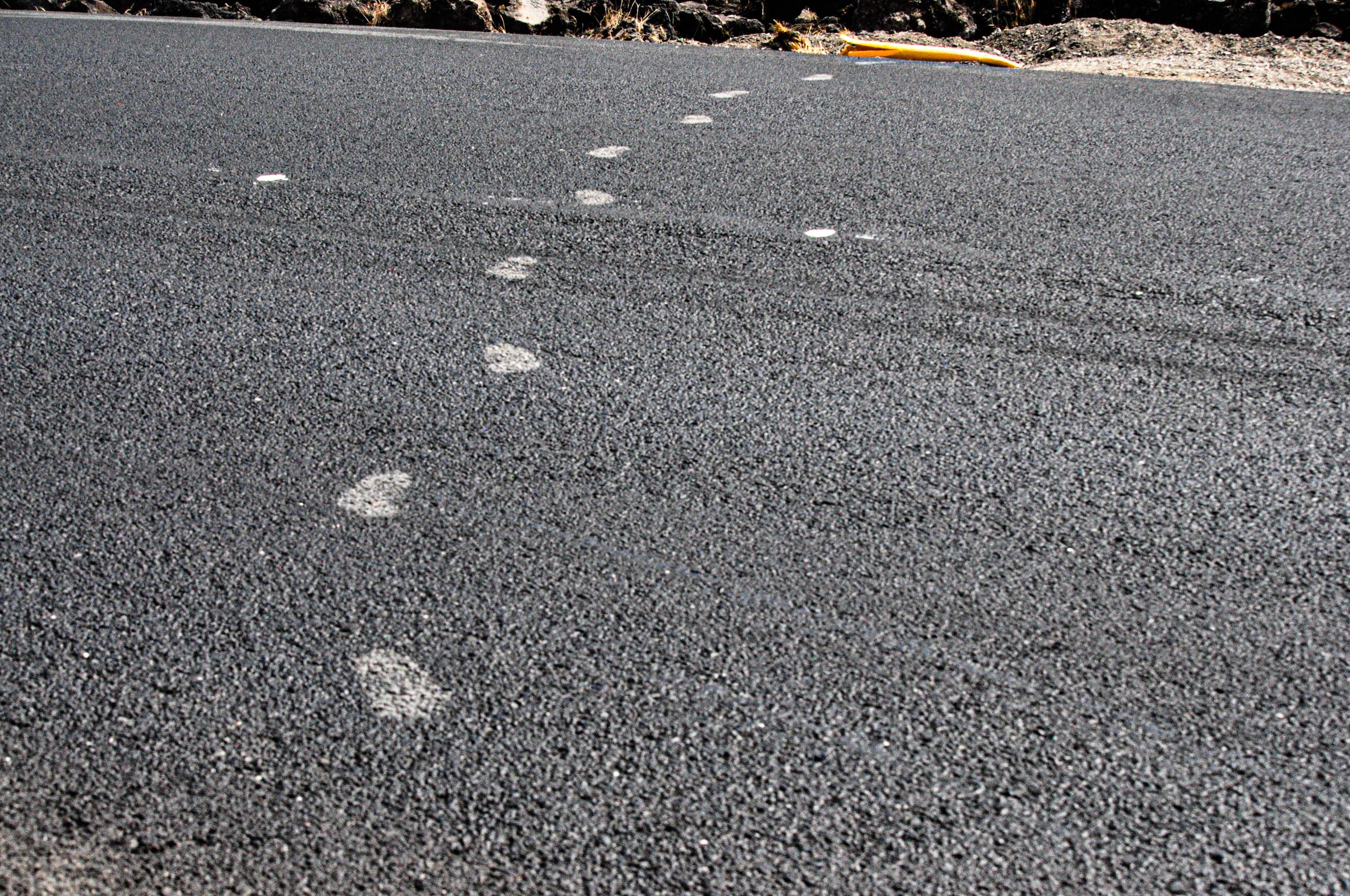 I left my footprints marked with dust on the road.