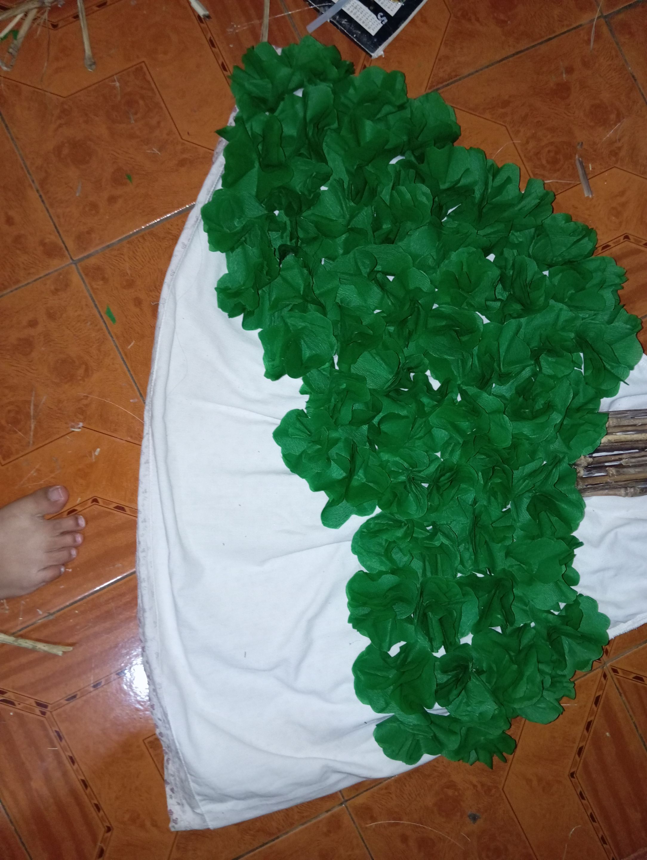 1000715043.jpg