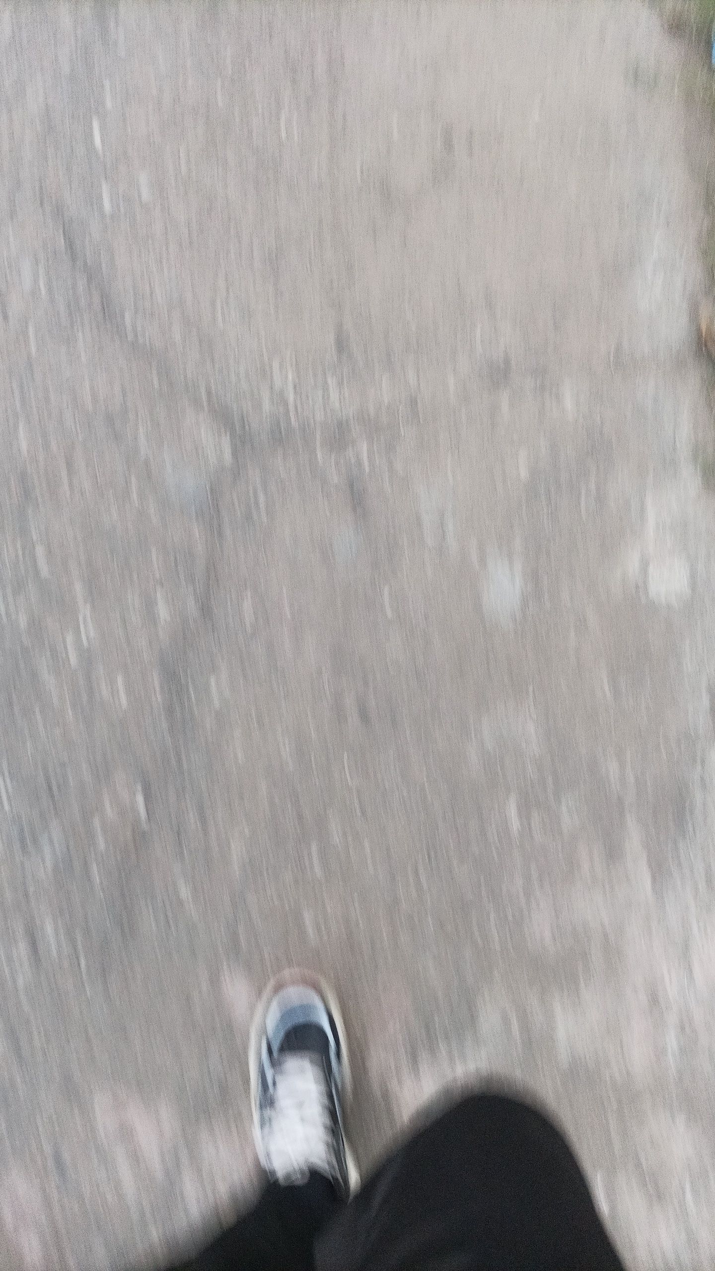 Snapchat-1286206045.jpg