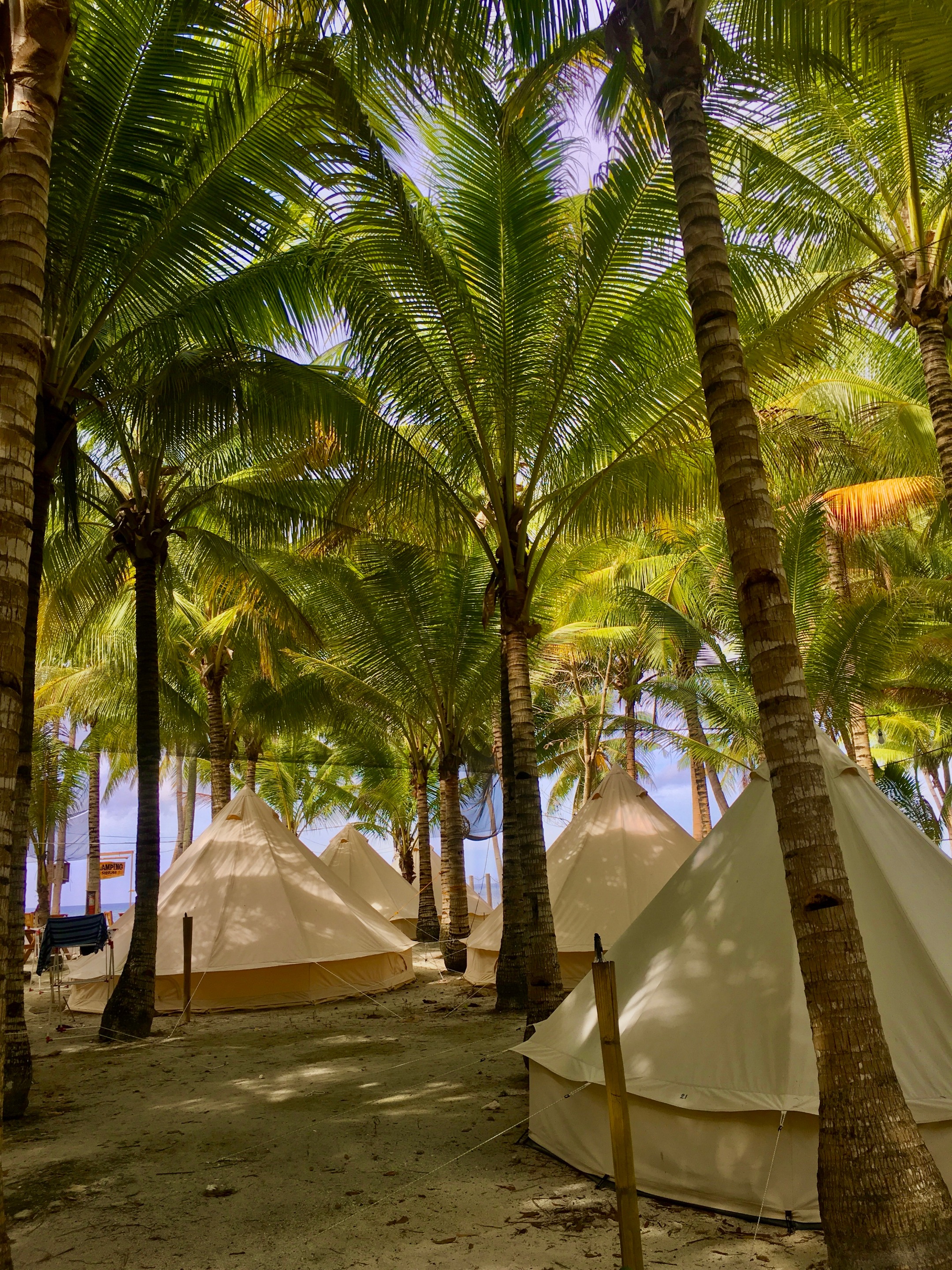 Towering palm trees abound among the glamping tents, creating harmony between aesthetics and natural beauty