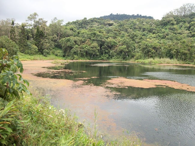 Sabana (foto propia).jpg