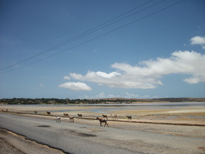 100_6847.JPG