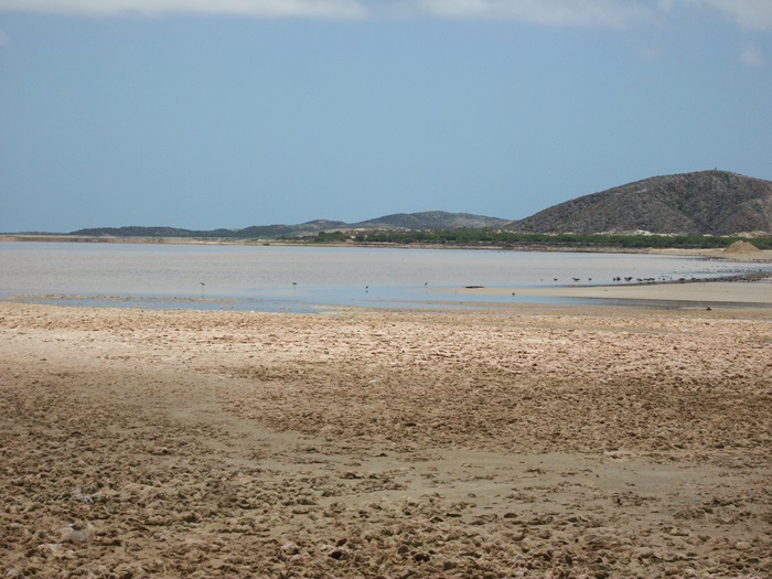 100_6836.JPG