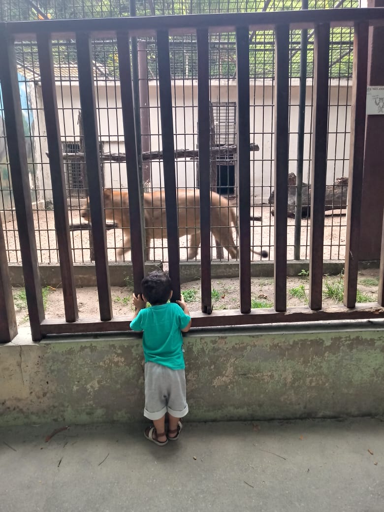 ZOO: A HAPPY PLACE THAT HIDES SADNESS / ZOOLÓGICO: UM LUGAR FELIZ QUE ESCONDE A TRISTEZA (EN/PT)