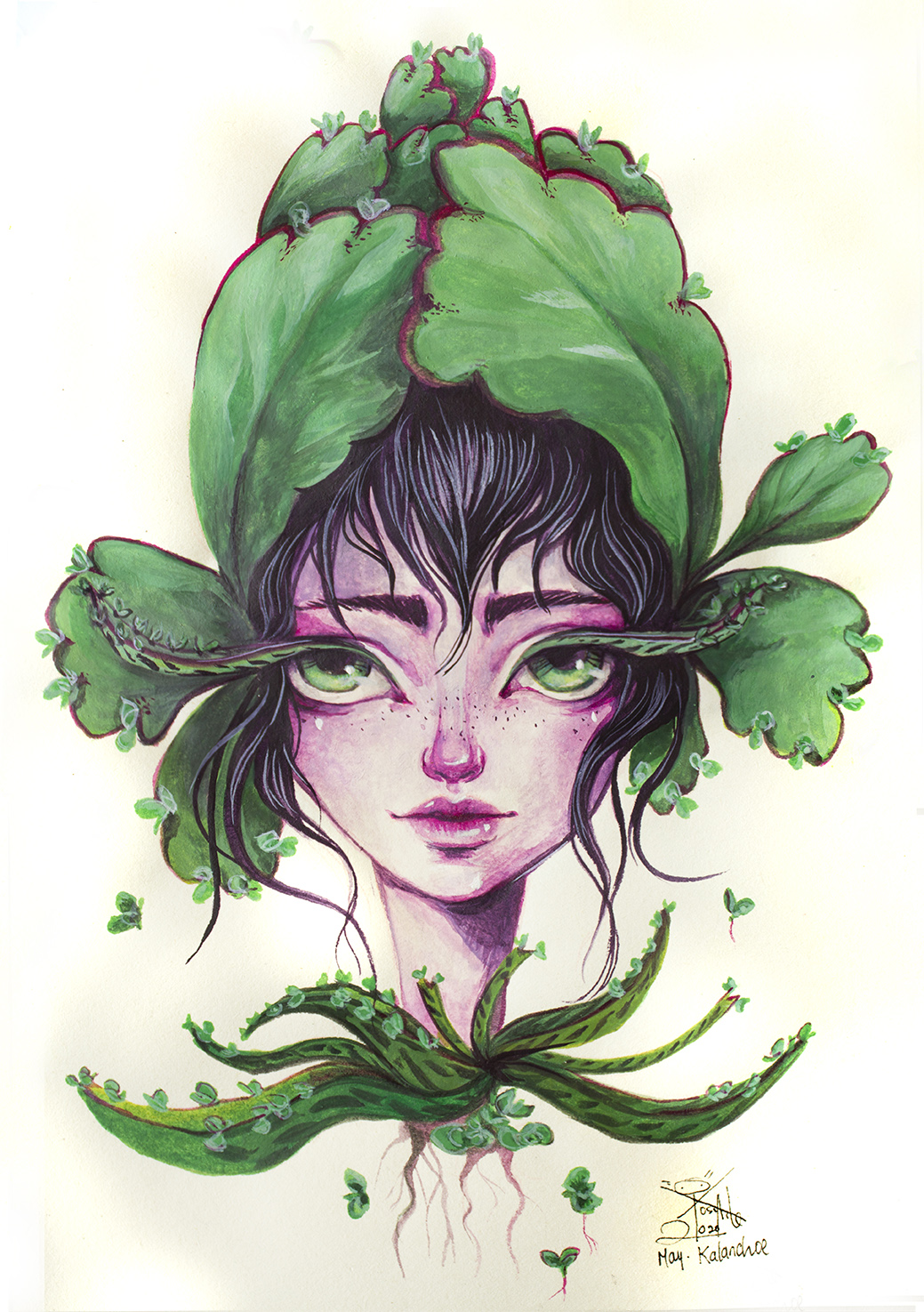 Kalanchoe Final_Preview.jpg