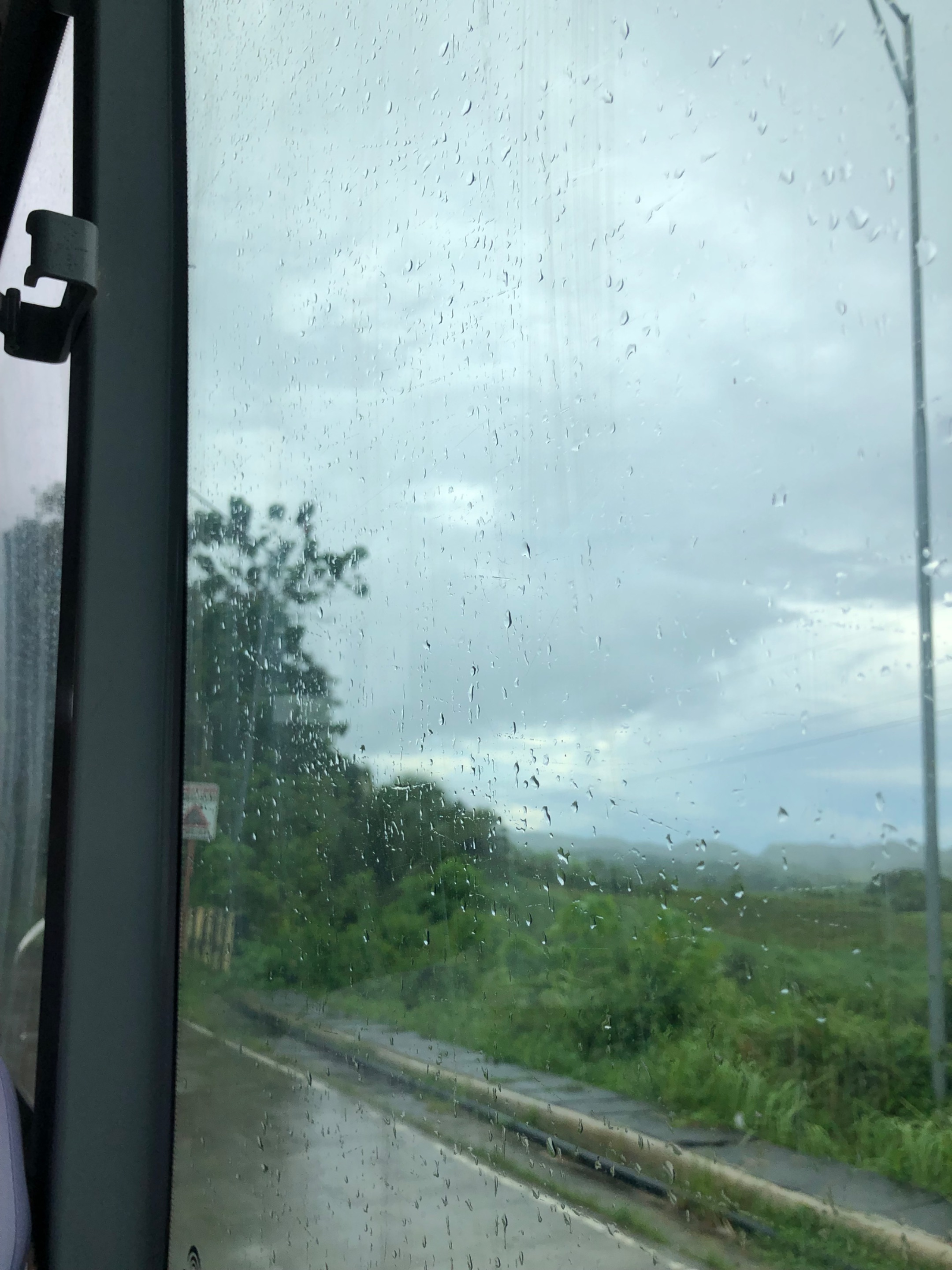 IMG_5744.jpeg