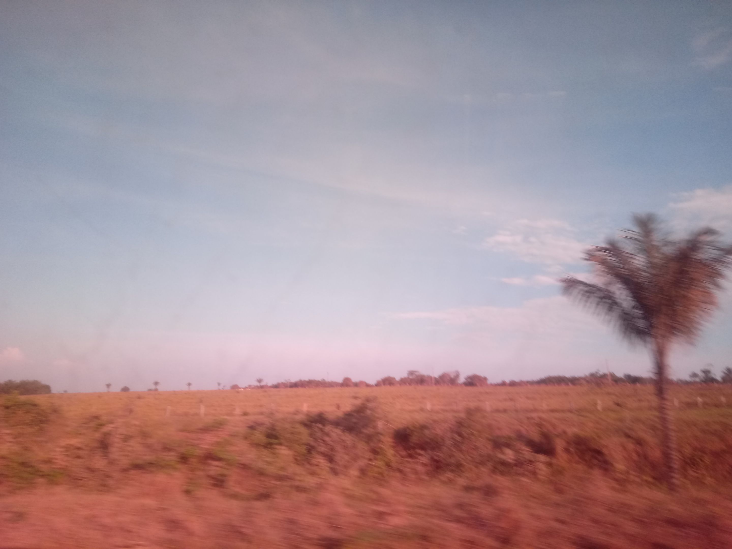 20190817_174649.jpg