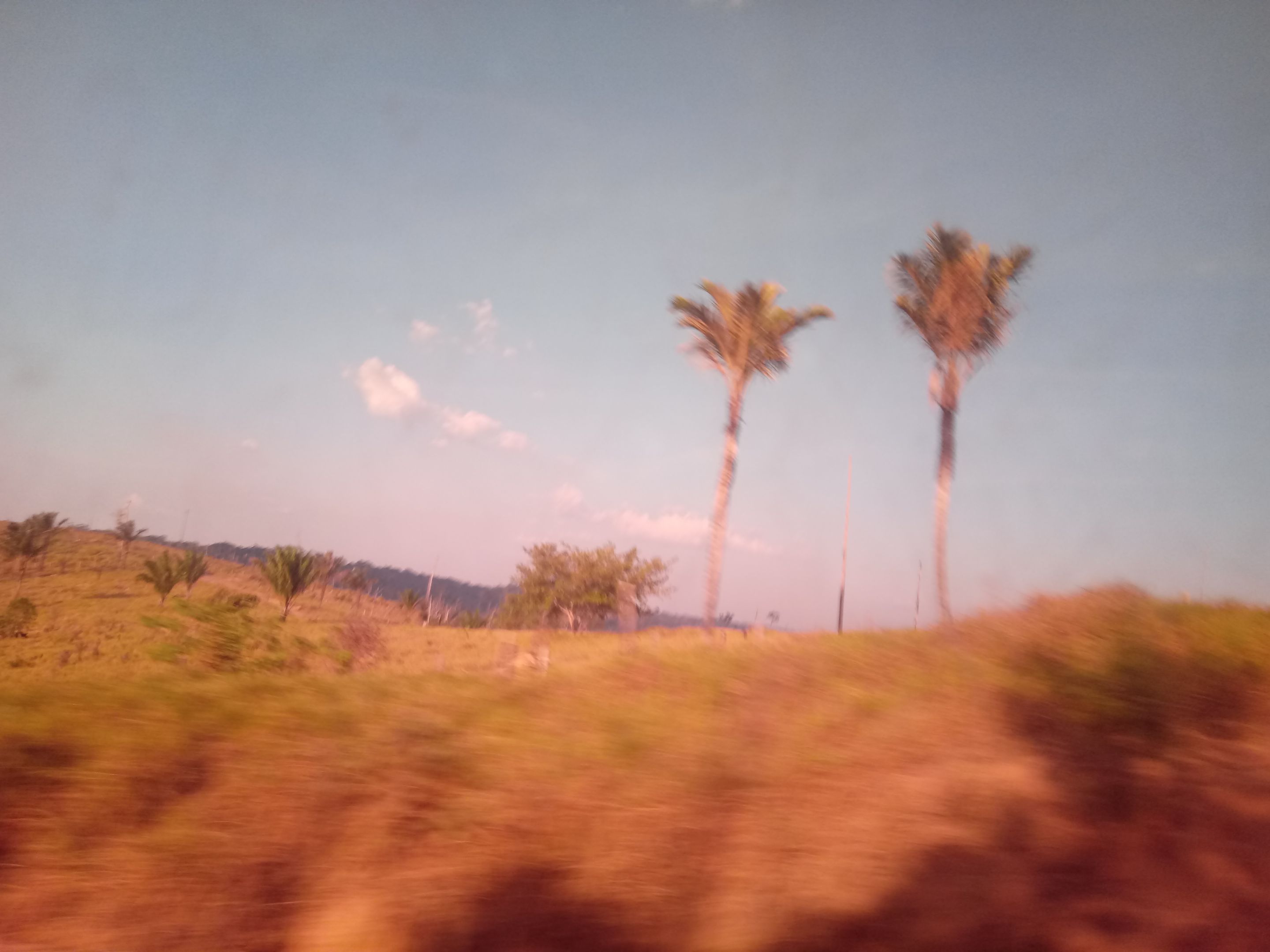 20190817_172828.jpg