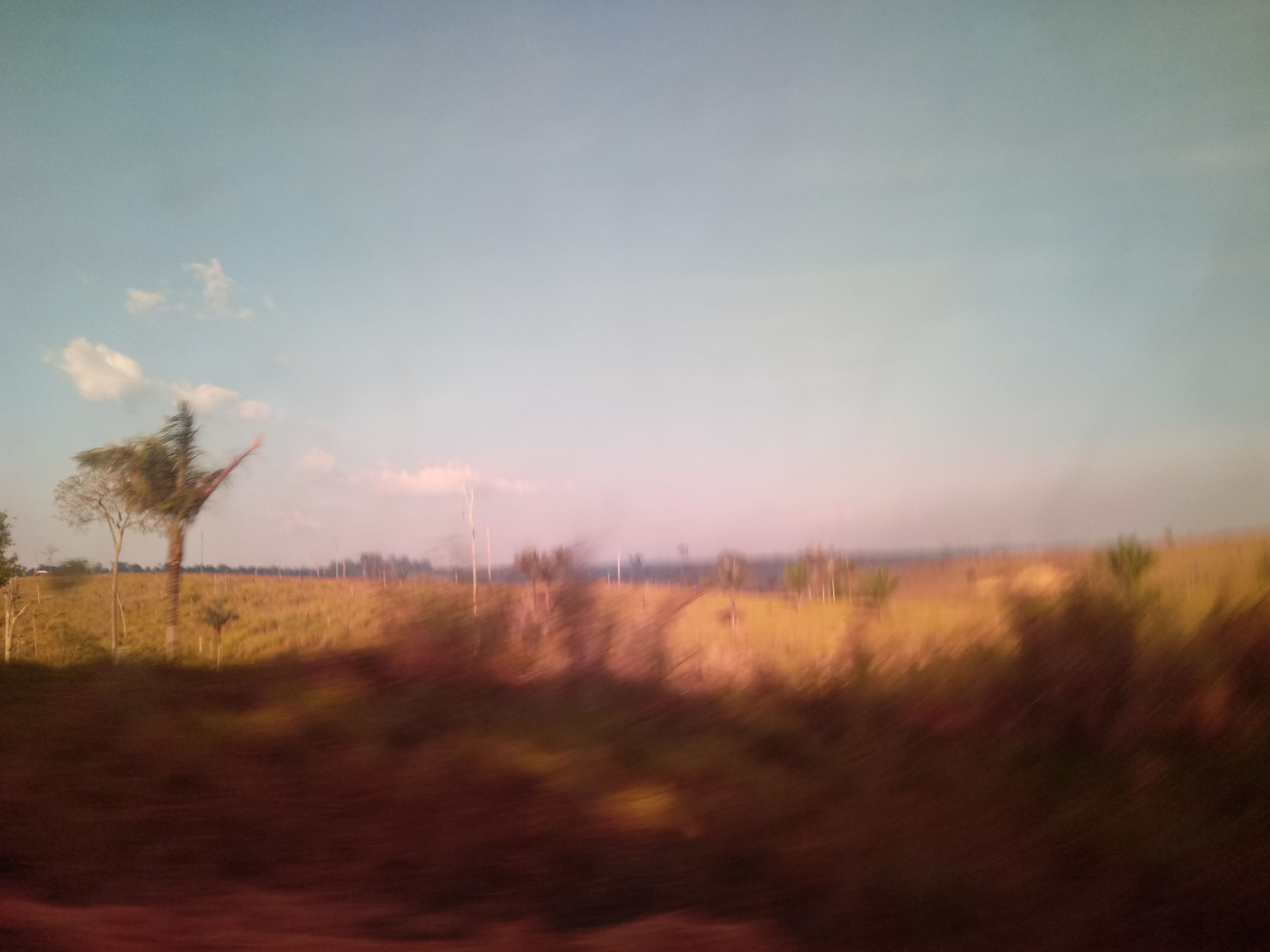 20190817_172820.jpg