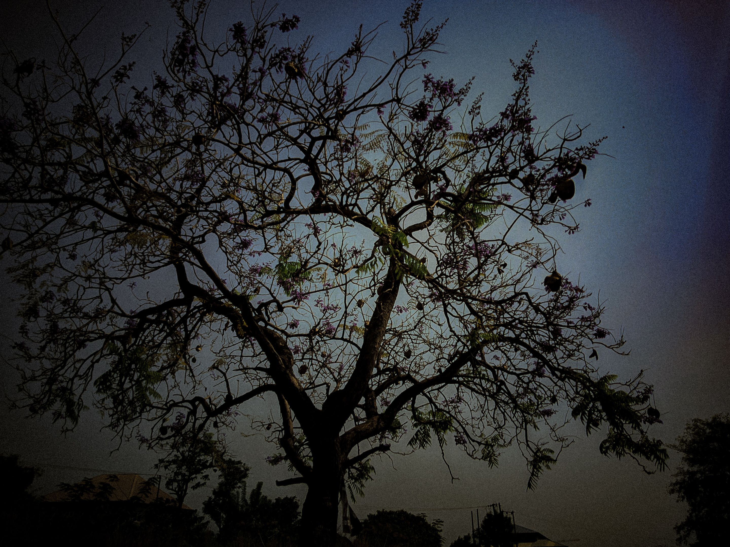 ʀᴀᴊᴜ_20231231_114657_⚙️ AUTO COLOUR BY GCAM HERO LMC8.4 R15.PORTRAIT.jpg