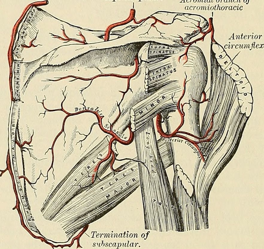 18169192886_2e299c6e5e_o.jpg