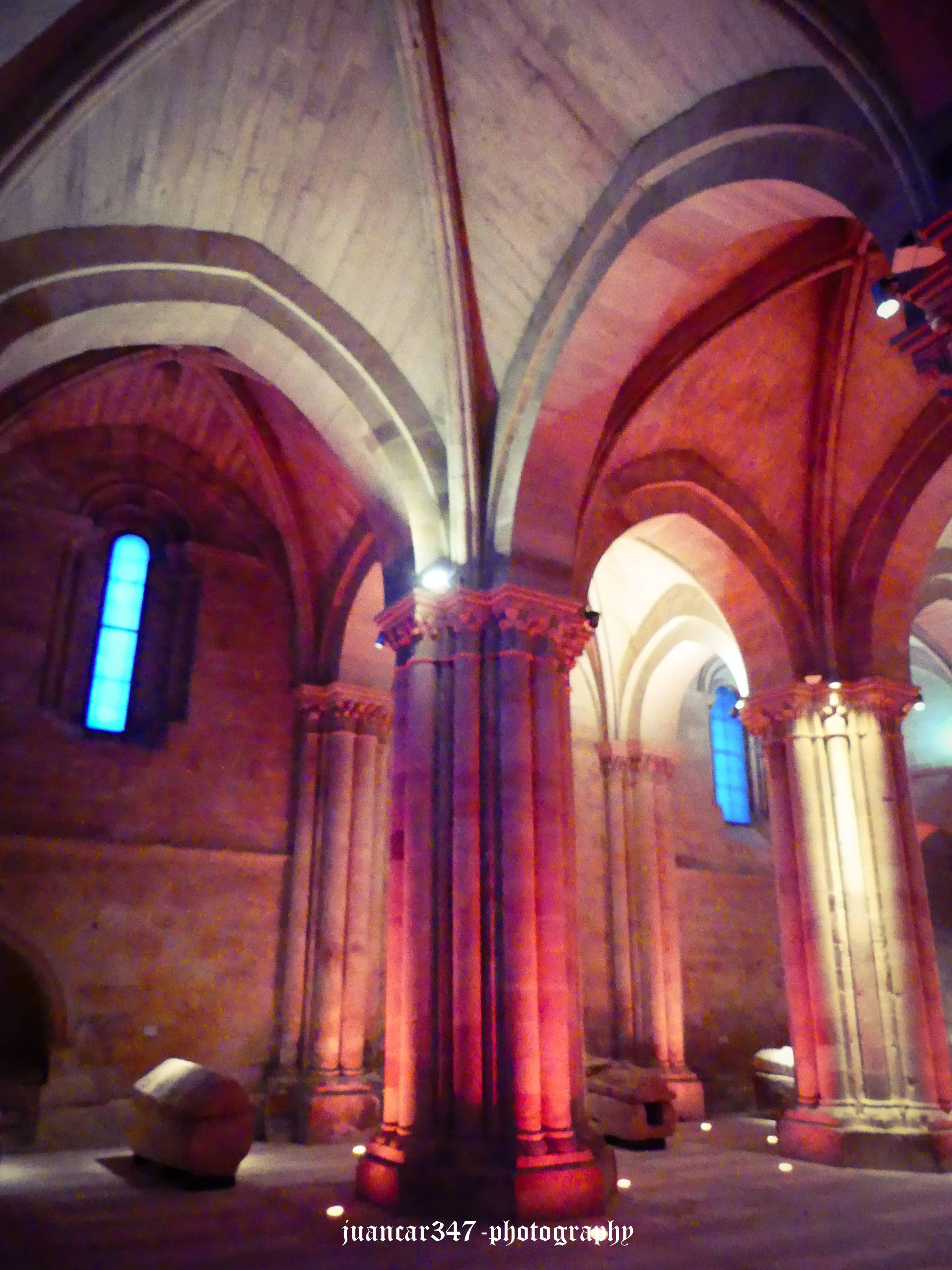 P1020402.JPG