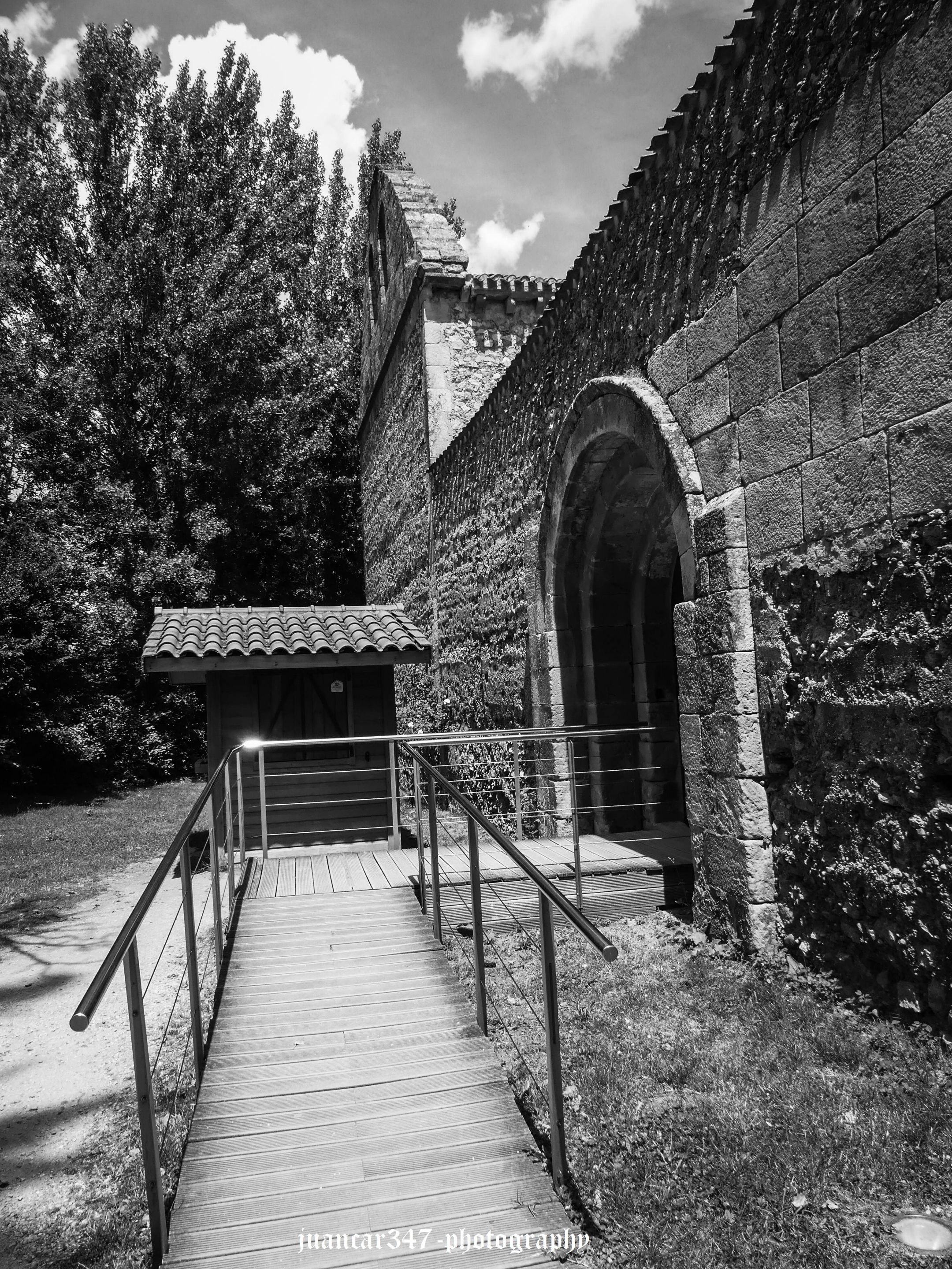P1040351.JPG