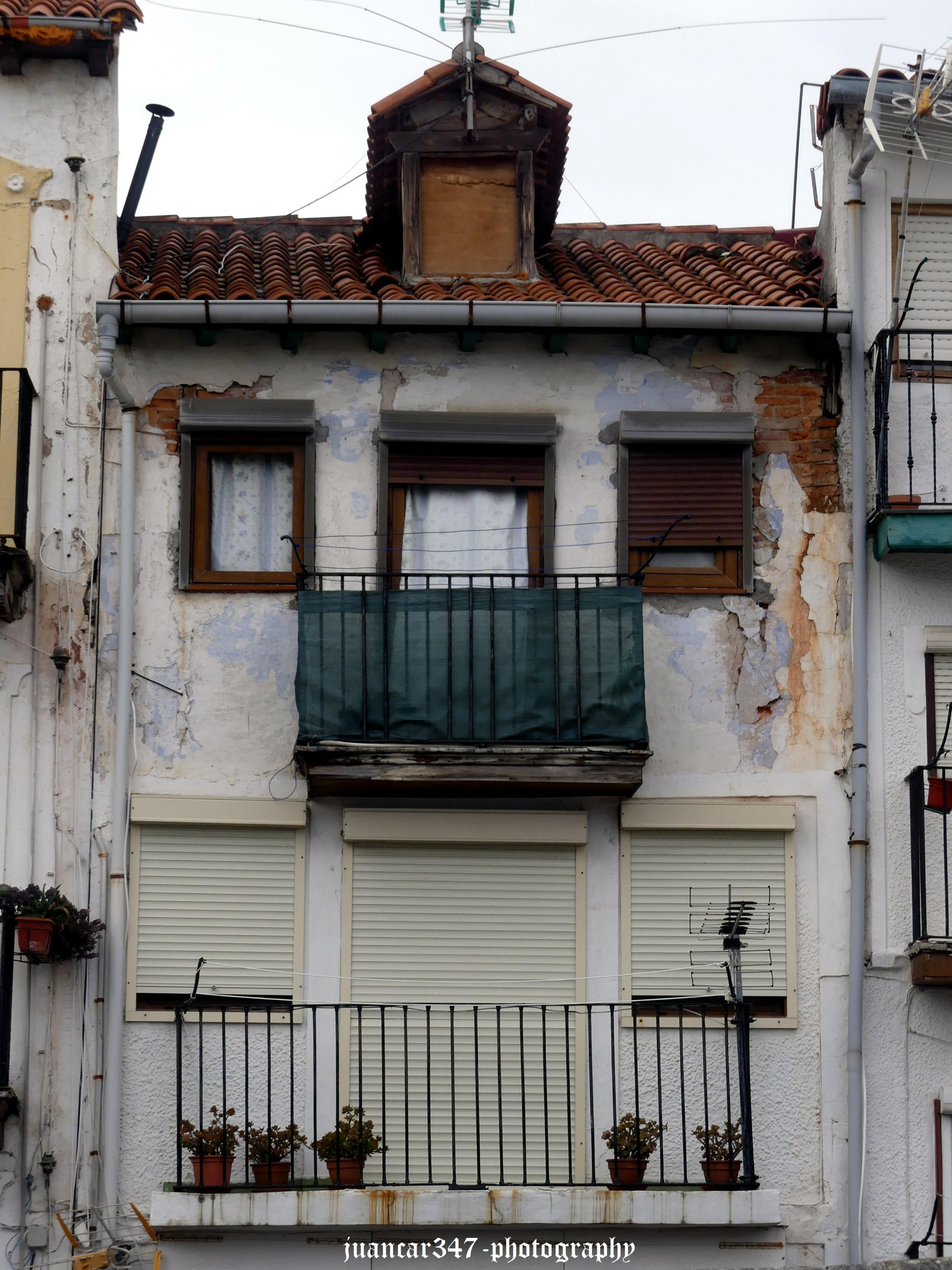 P1180230_acopia.jpg