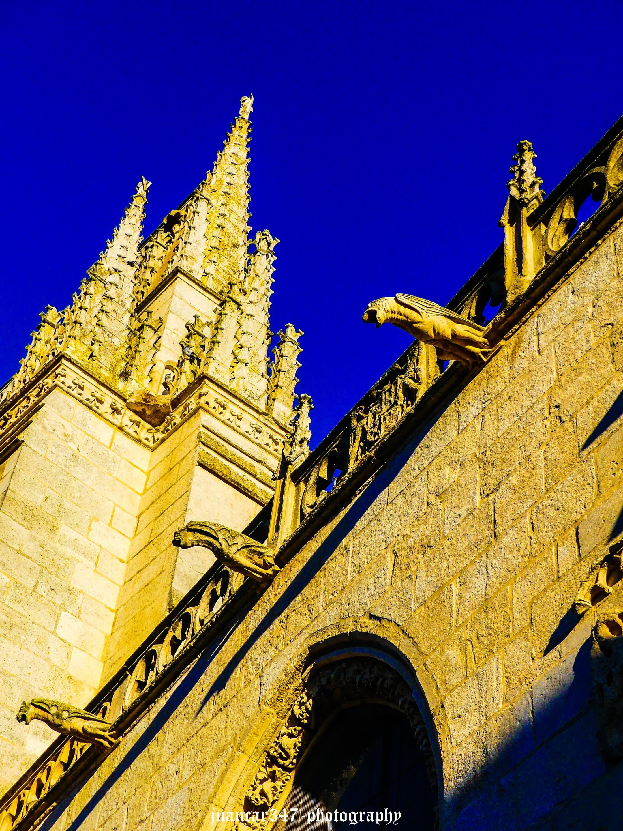 P1210126_edited.jpg