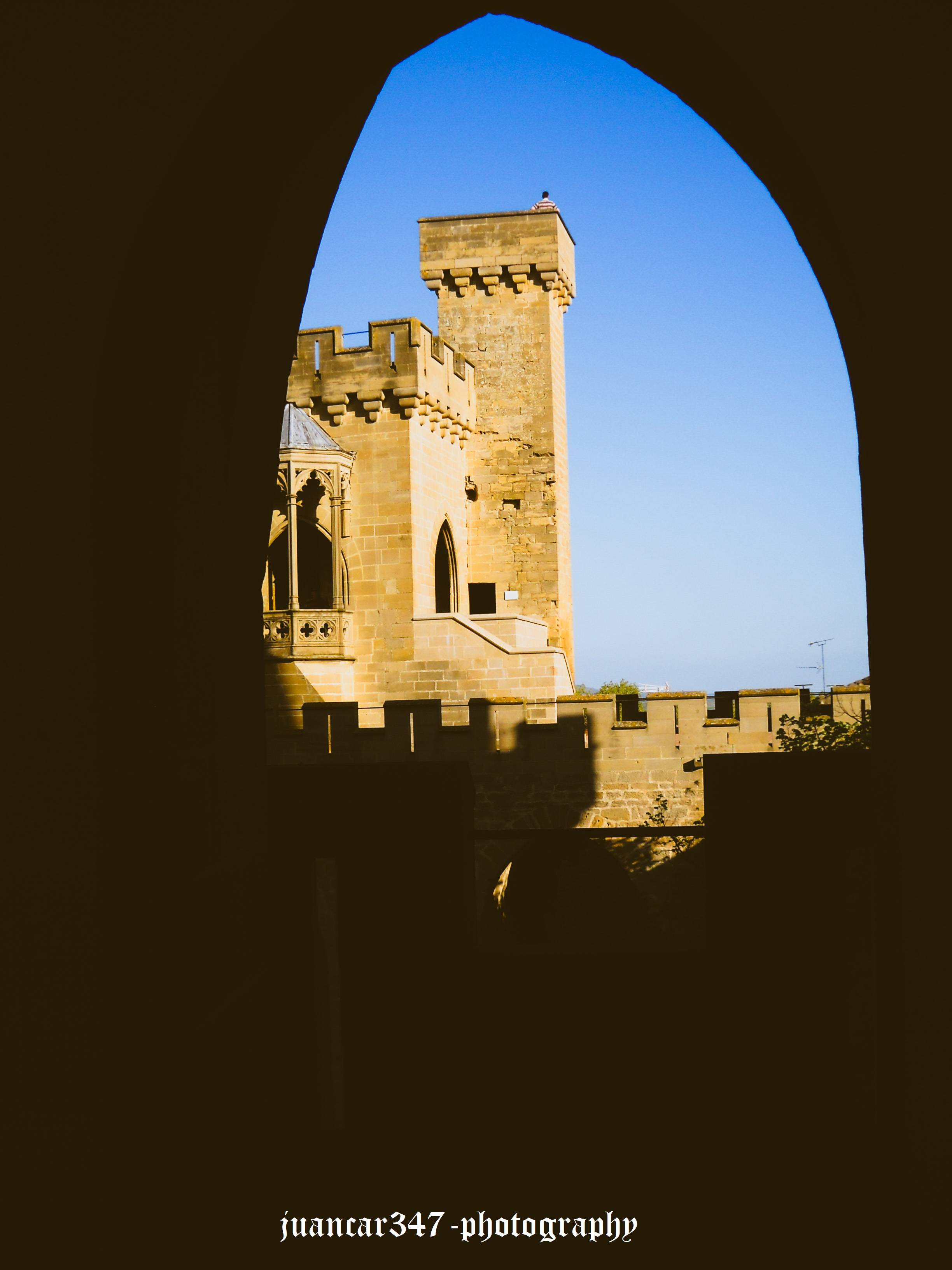 DSCN8551.jpg