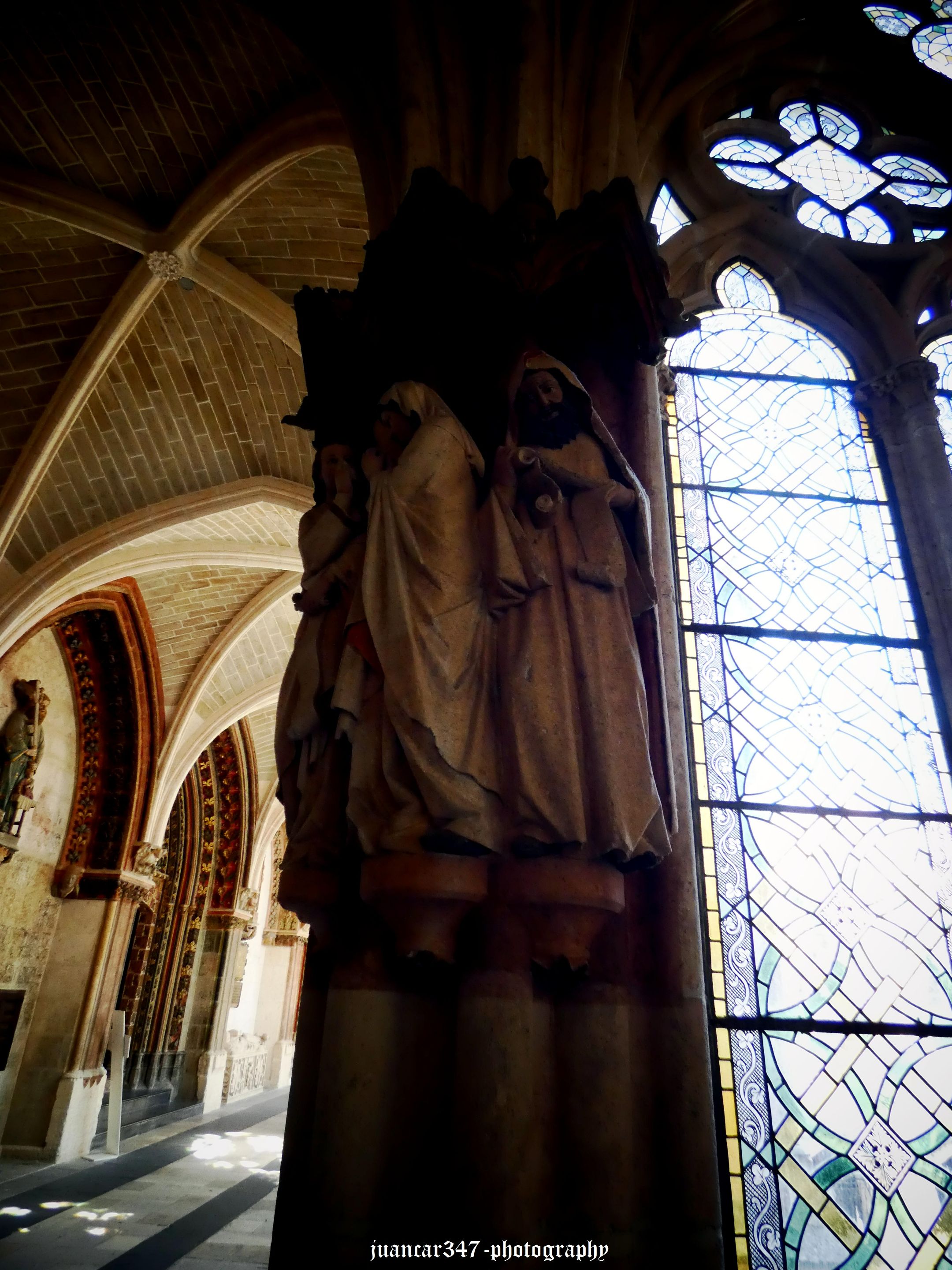 P1190224_acopia.jpg